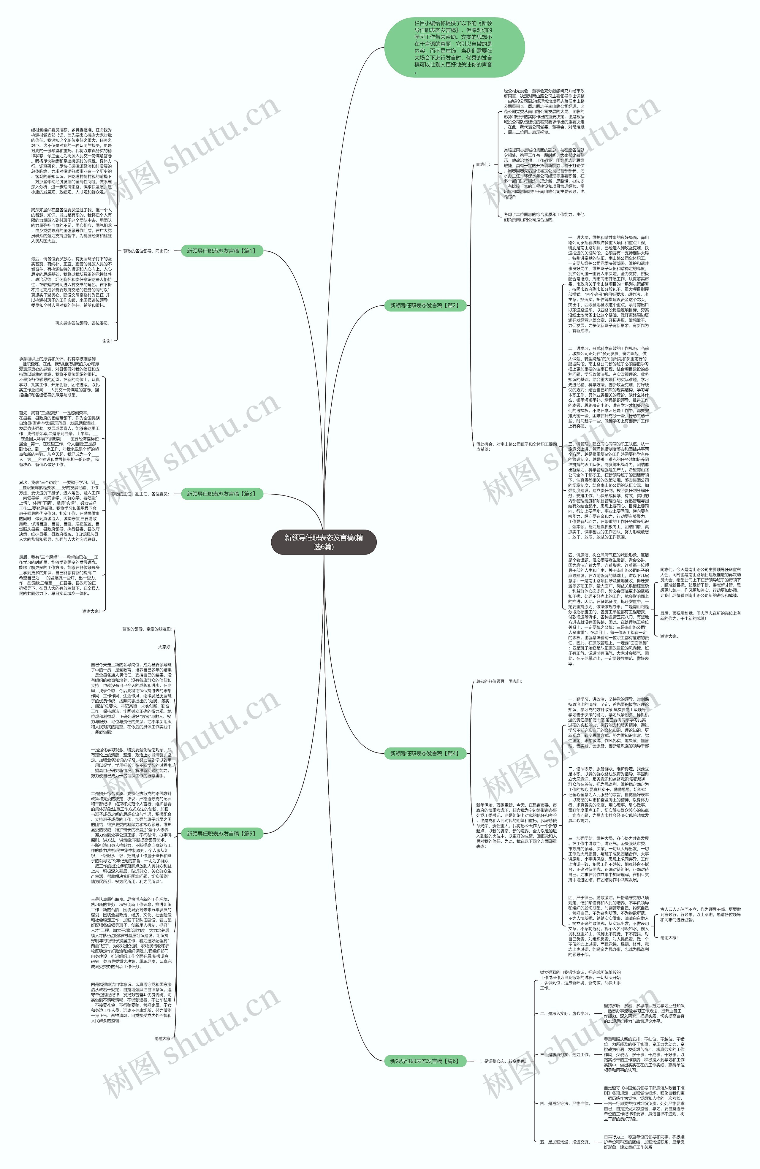 新领导任职表态发言稿(精选6篇)思维导图