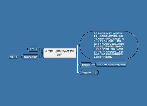 武汉护士/护理漂亮的求职简历