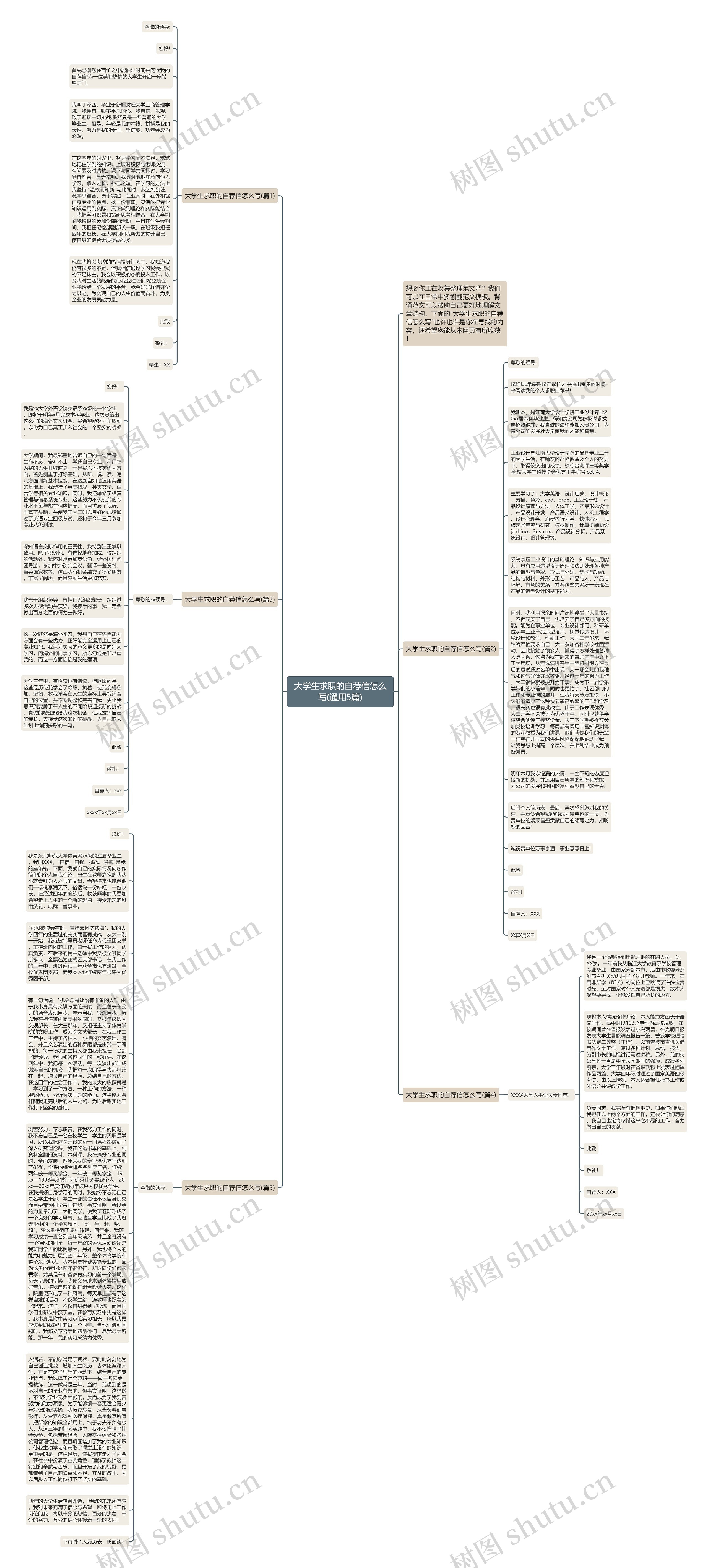 大学生求职的自荐信怎么写(通用5篇)思维导图