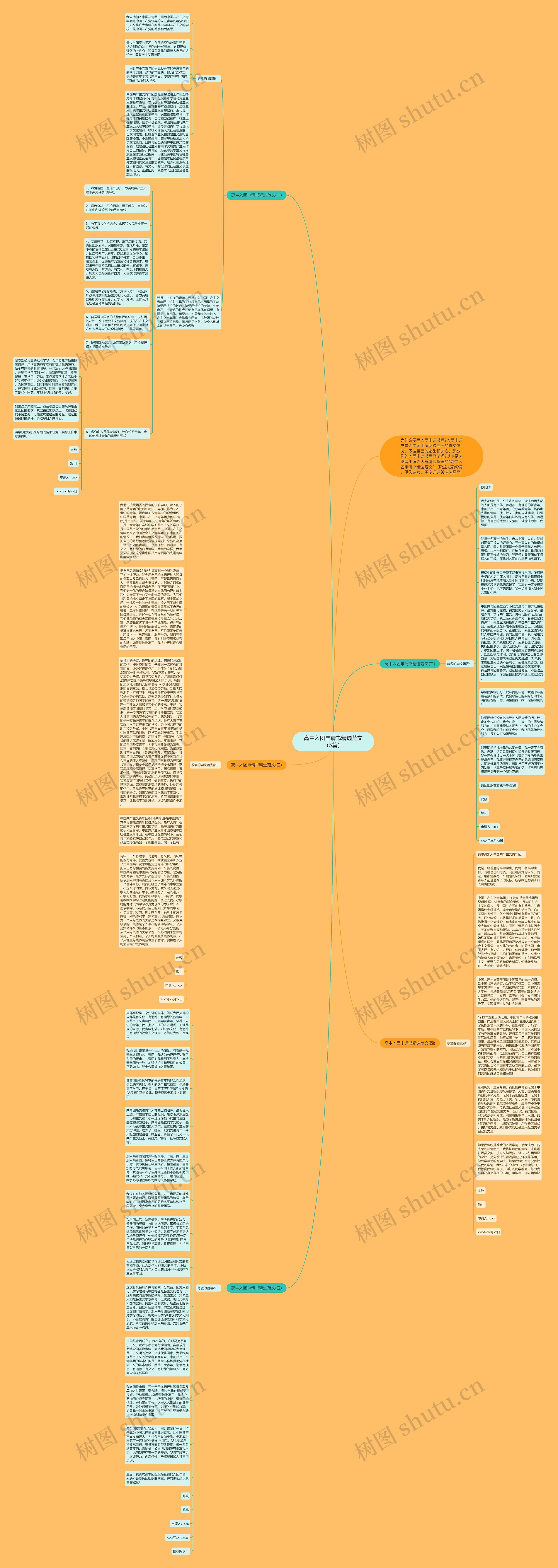 高中入团申请书精选范文（5篇）思维导图