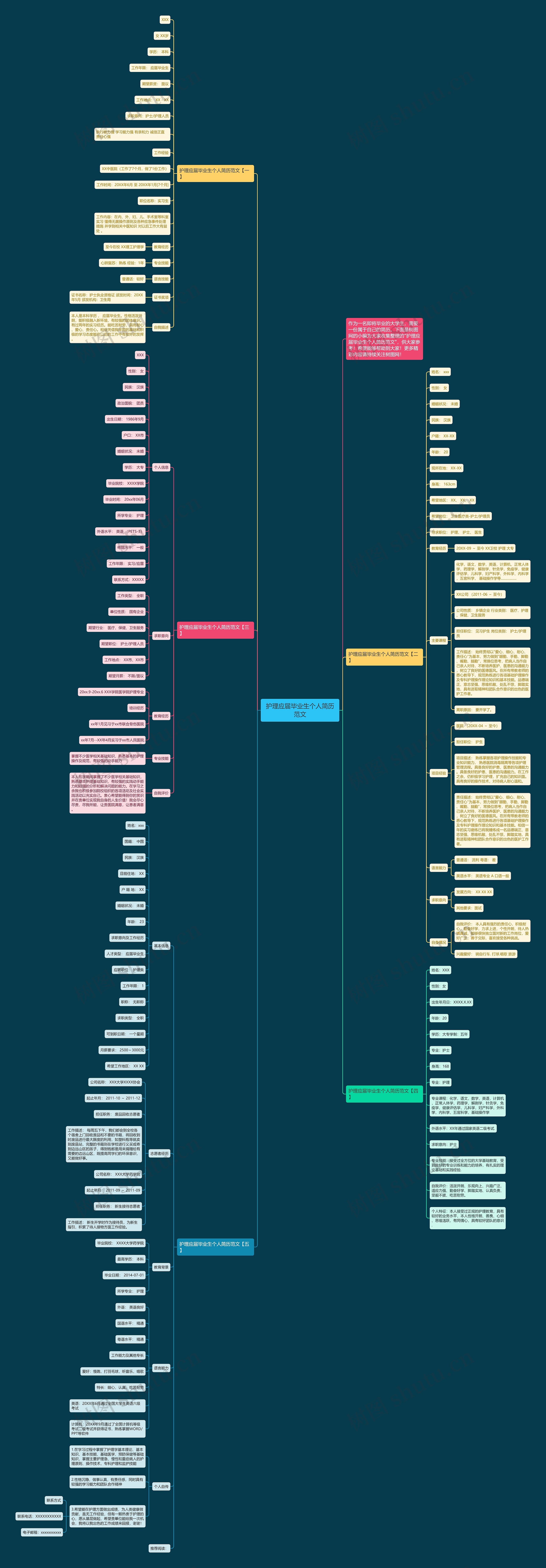 护理应届毕业生个人简历范文思维导图