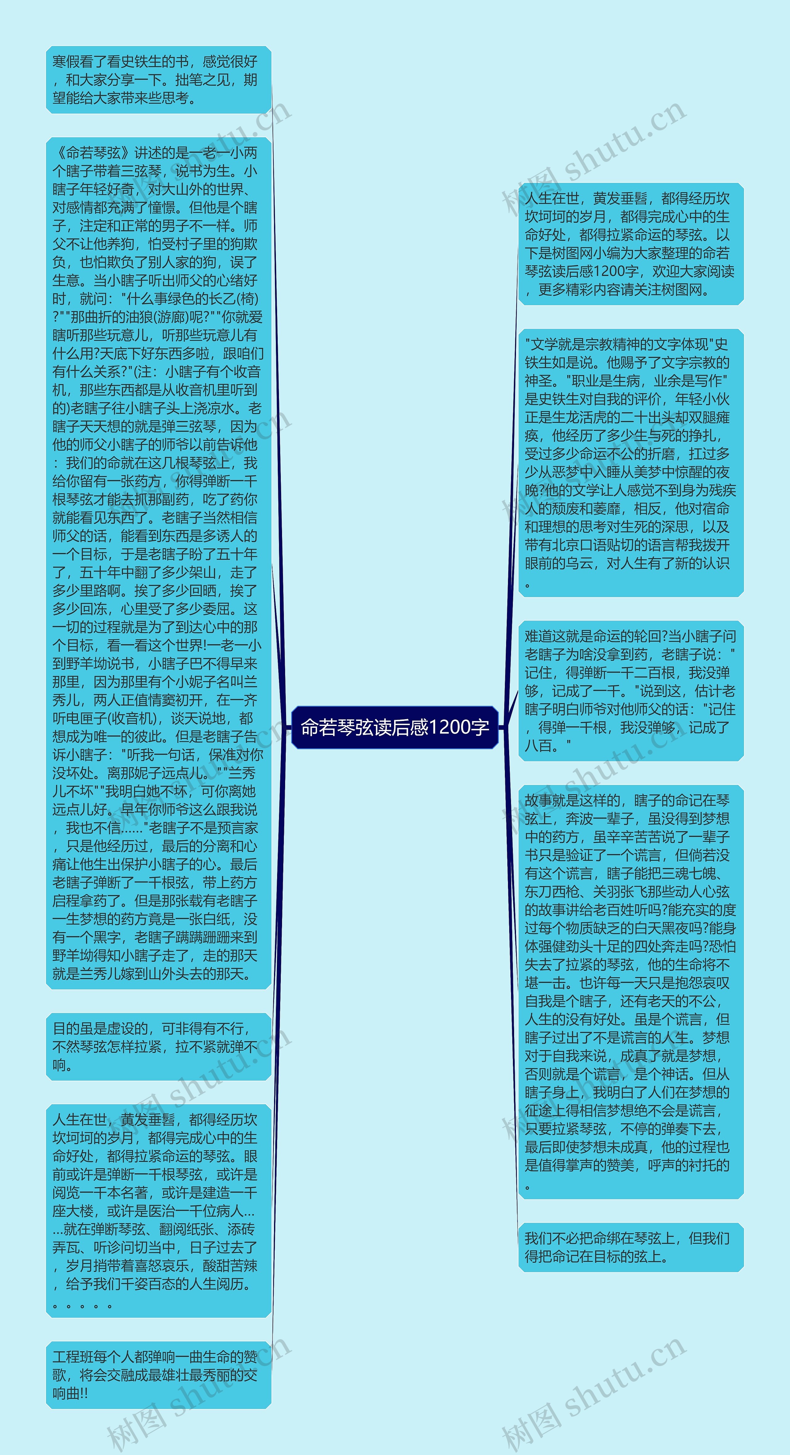 命若琴弦读后感1200字思维导图