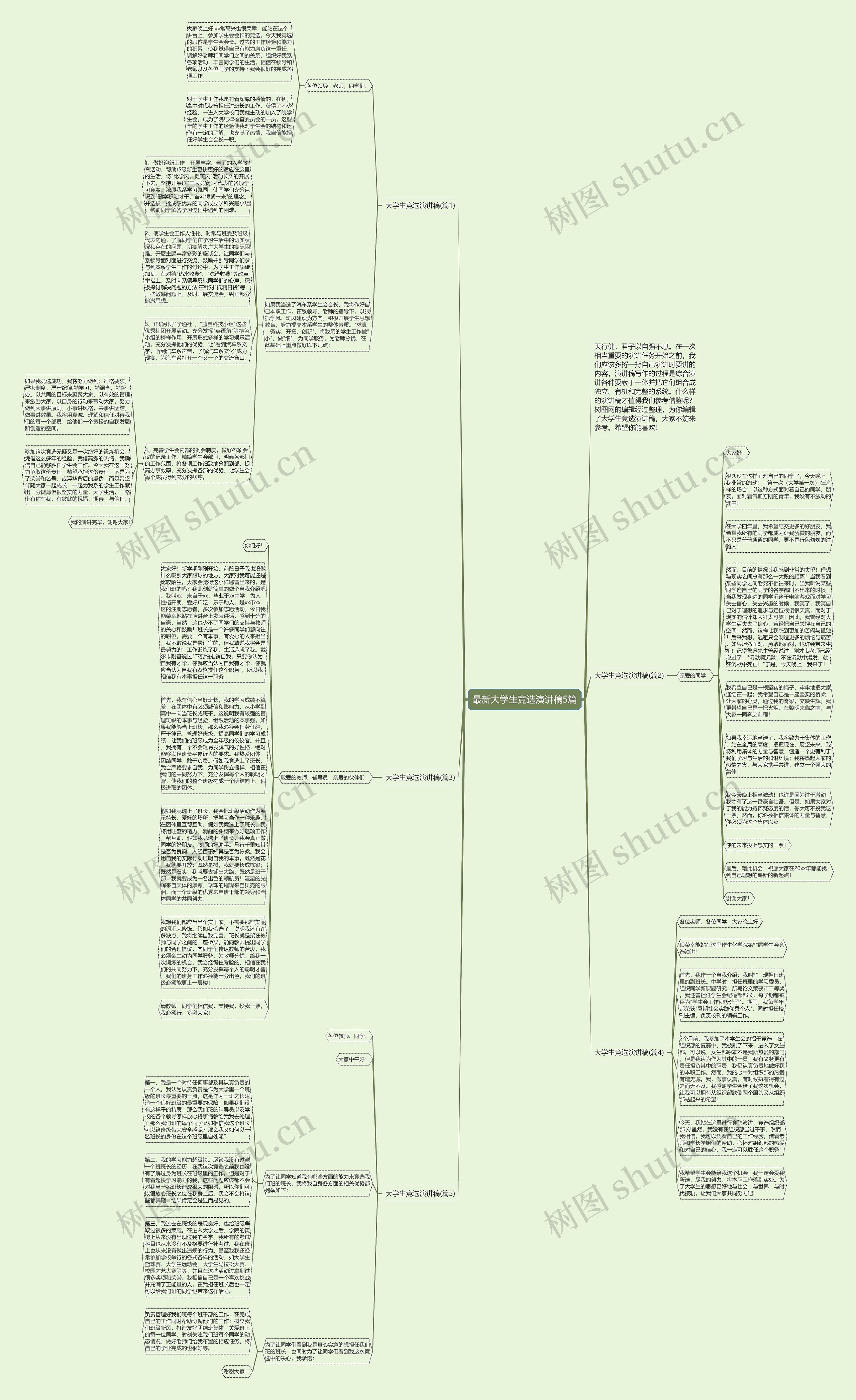 最新大学生竞选演讲稿5篇思维导图