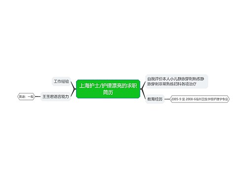 上海护士/护理漂亮的求职简历