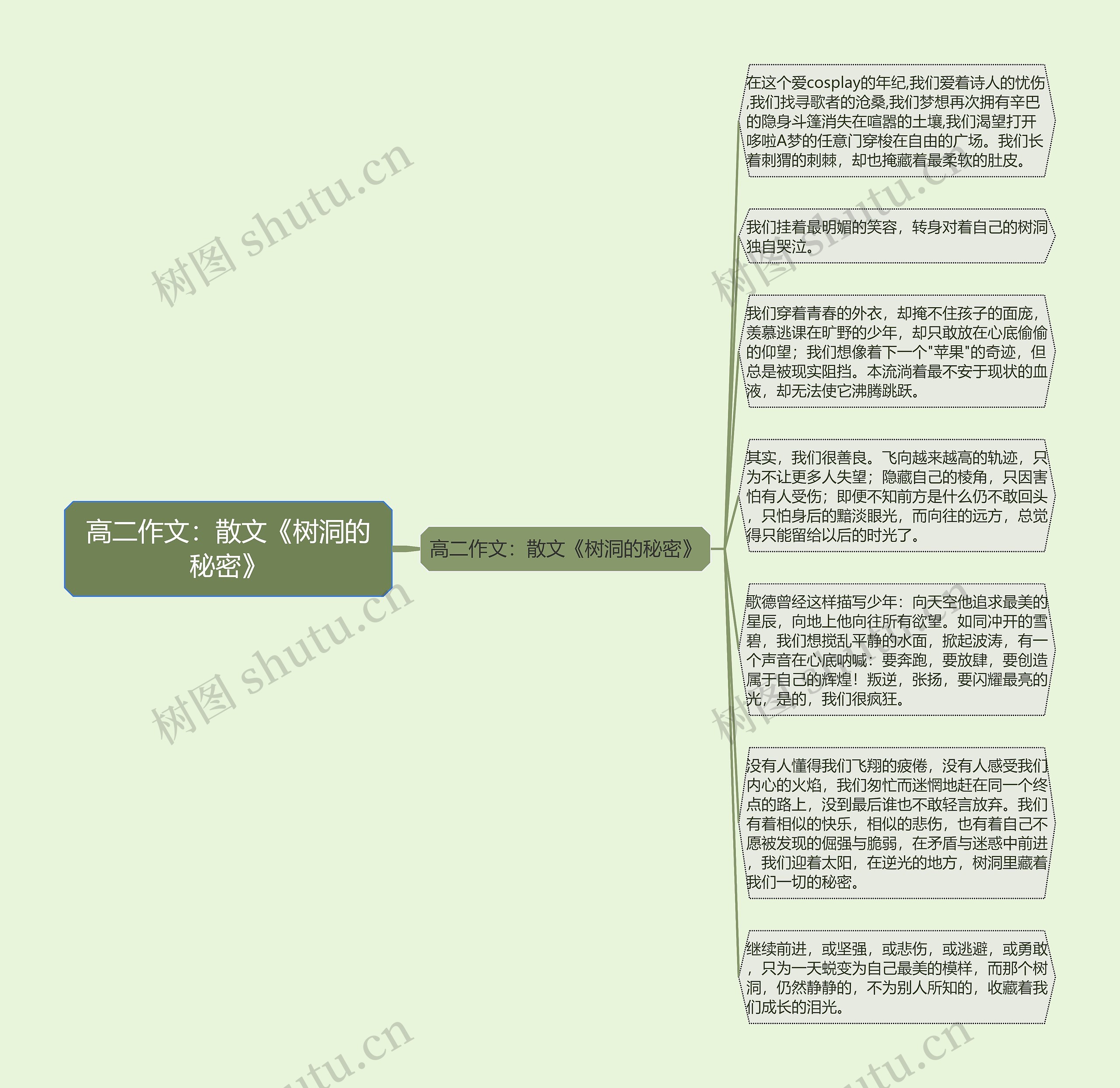 高二作文：散文《树洞的秘密》思维导图