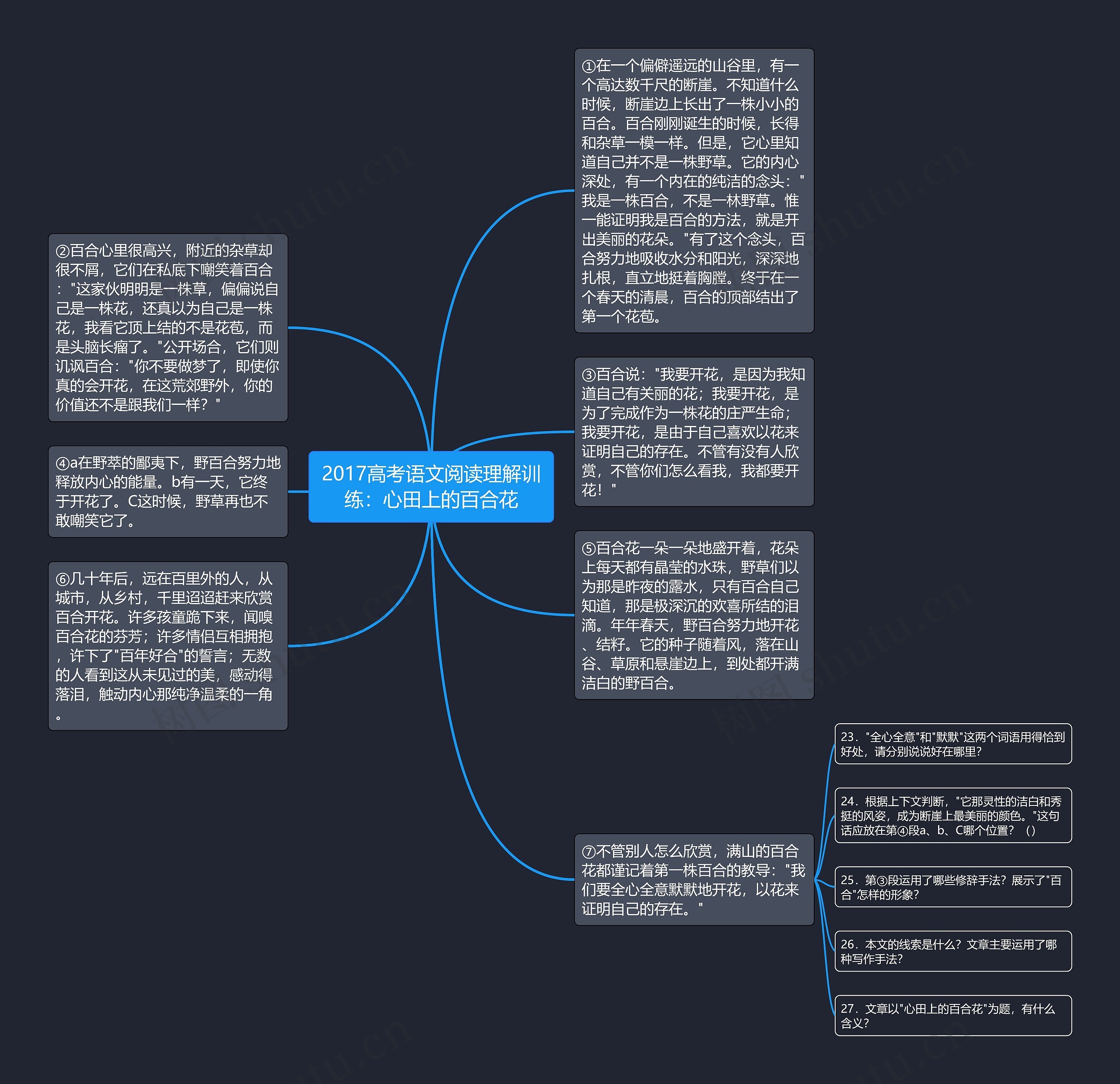 2017高考语文阅读理解训练：心田上的百合花思维导图