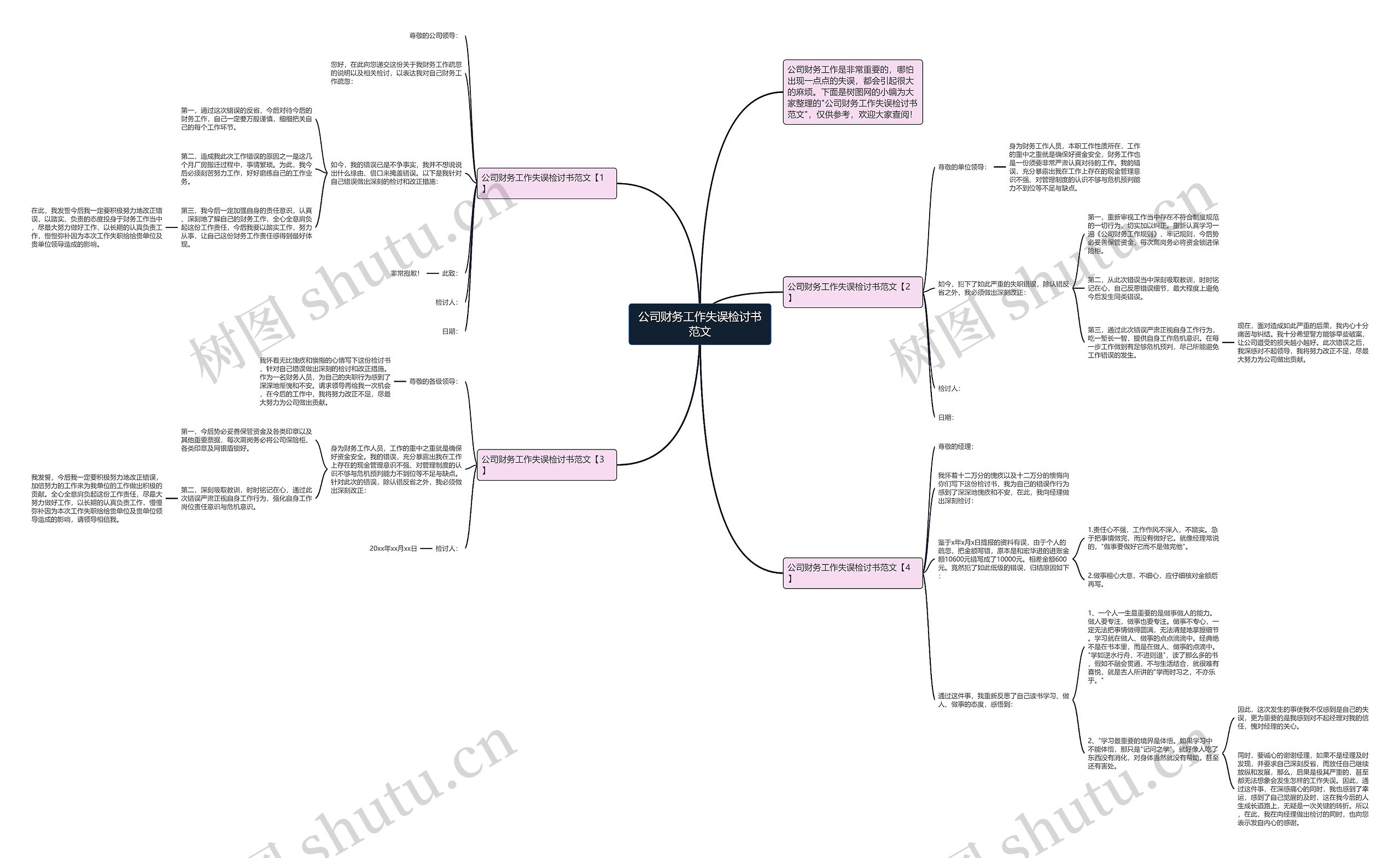 公司财务工作失误检讨书范文思维导图