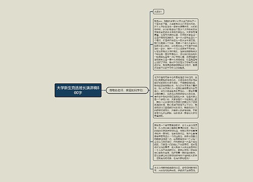 大学新生竞选班长演讲稿800字