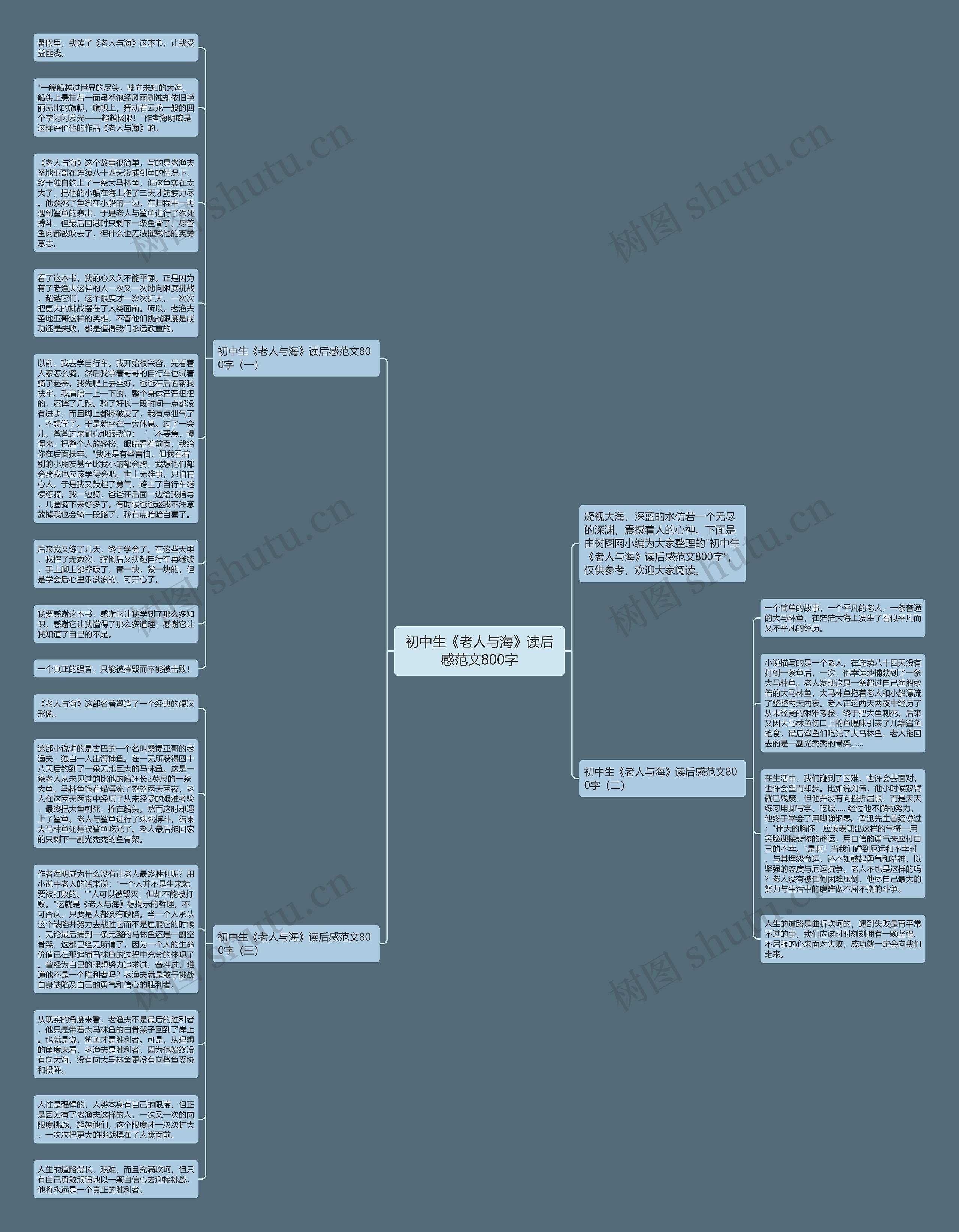 初中生《老人与海》读后感范文800字思维导图高清图 初中生《老人与海》读后感范文800字思维导图