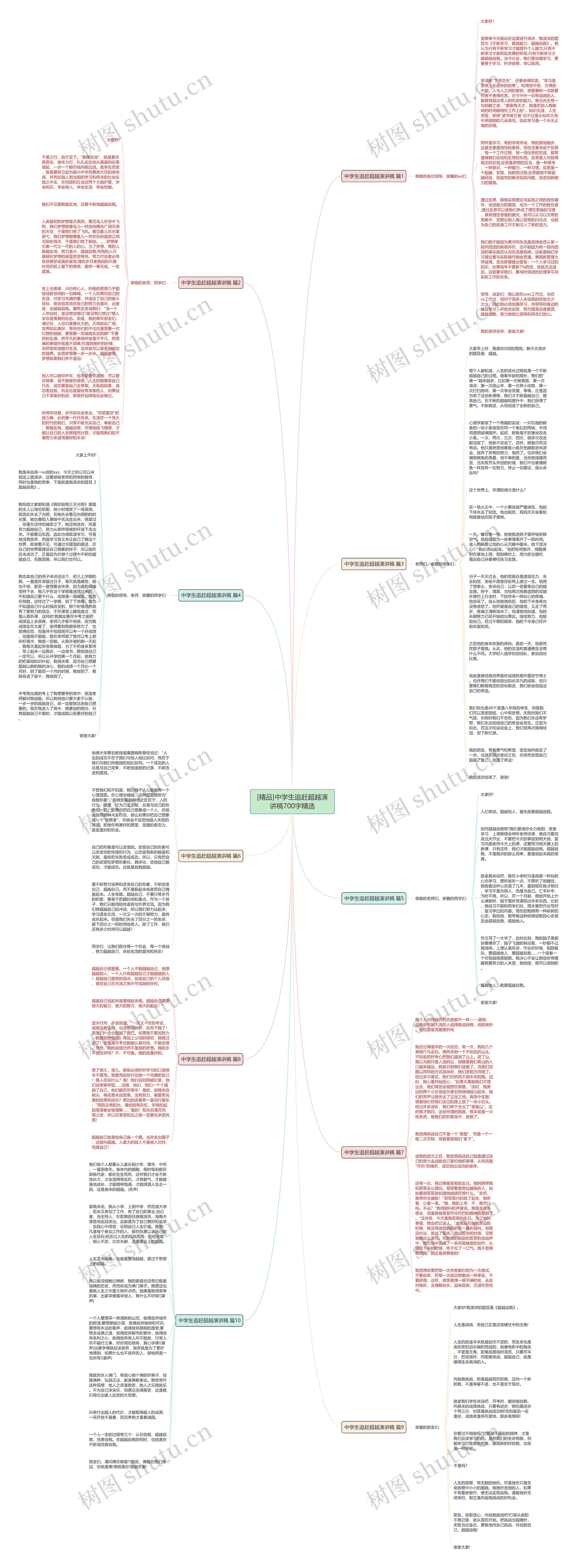 [精品]中学生追赶超越演讲稿700字精选思维导图