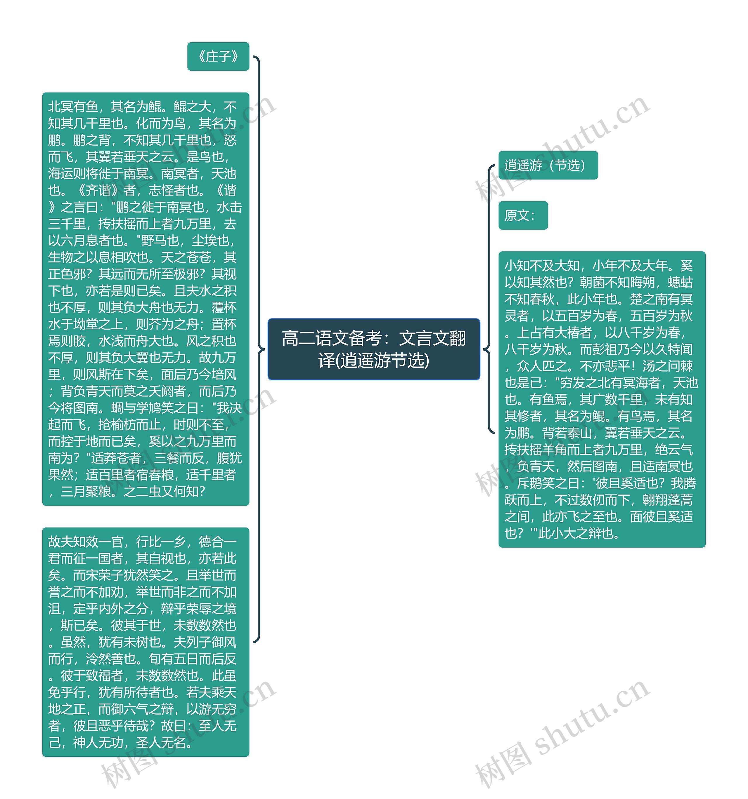 高二语文备考：文言文翻译(逍遥游节选)思维导图