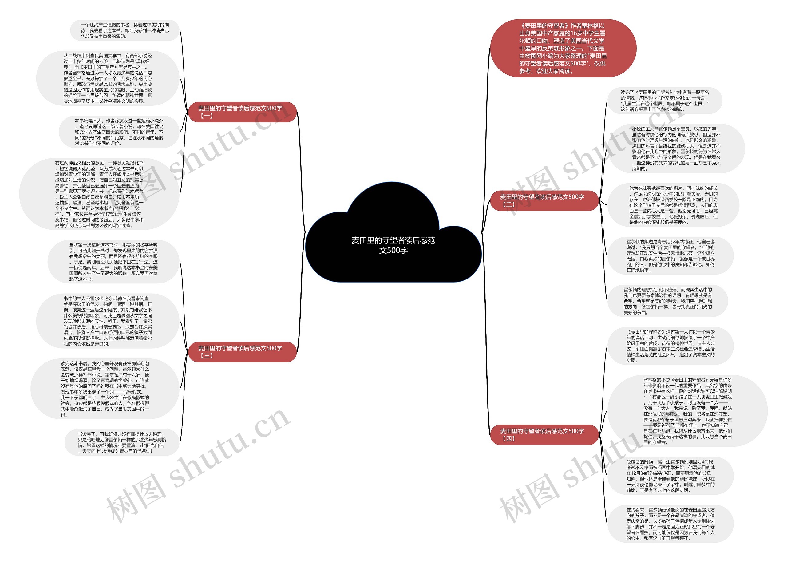 麦田里的守望者读后感范文500字思维导图
