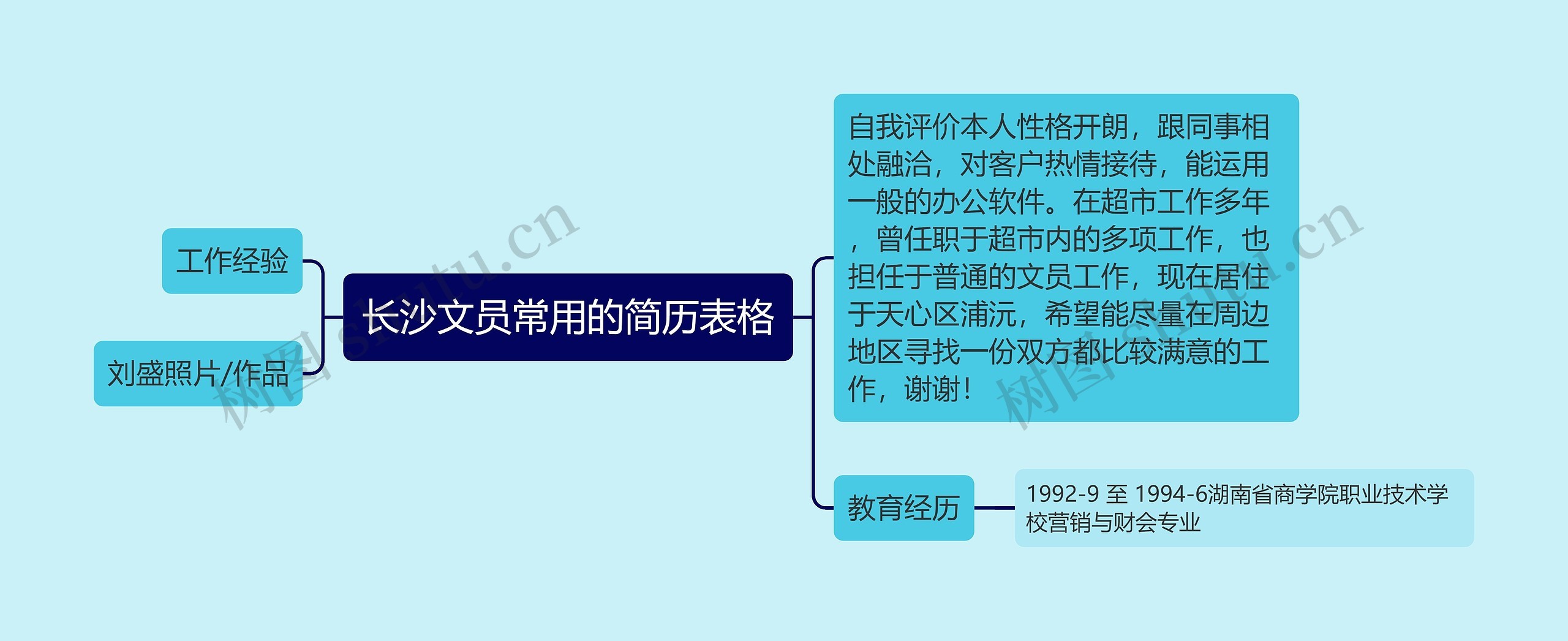 长沙文员常用的简历表格思维导图