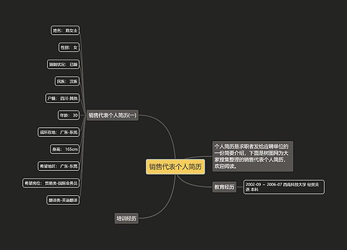 销售代表个人简历