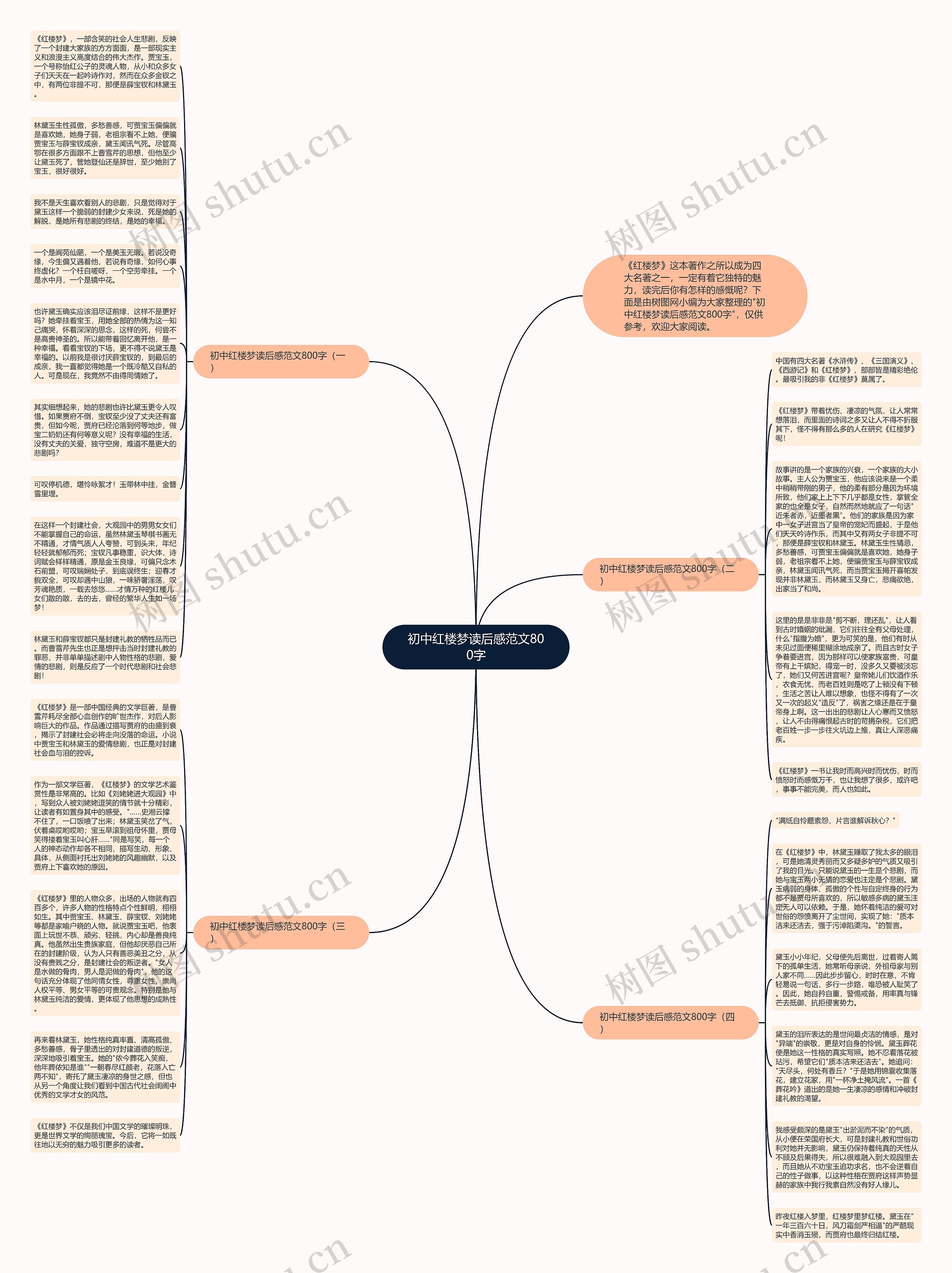 初中红楼梦读后感范文800字思维导图