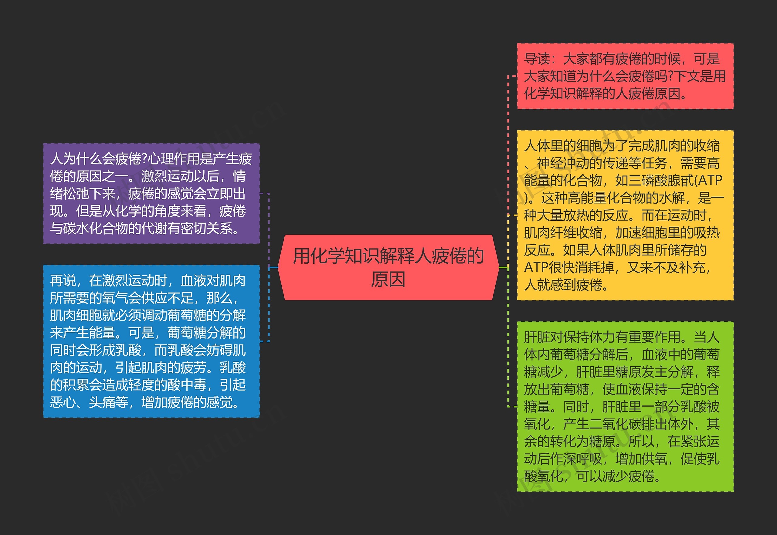 用化学知识解释人疲倦的原因思维导图