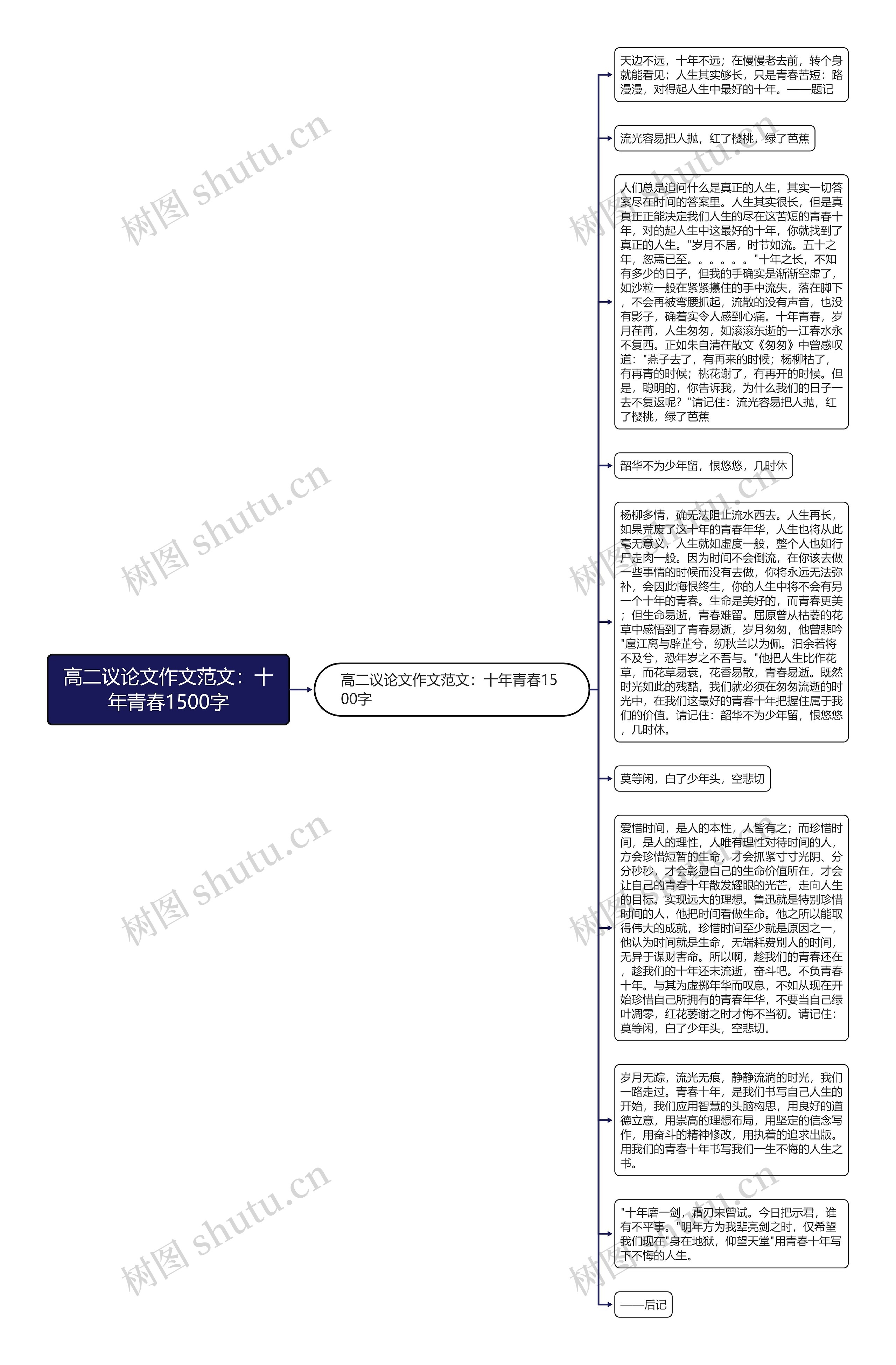 高二议论文作文范文：十年青春1500字思维导图