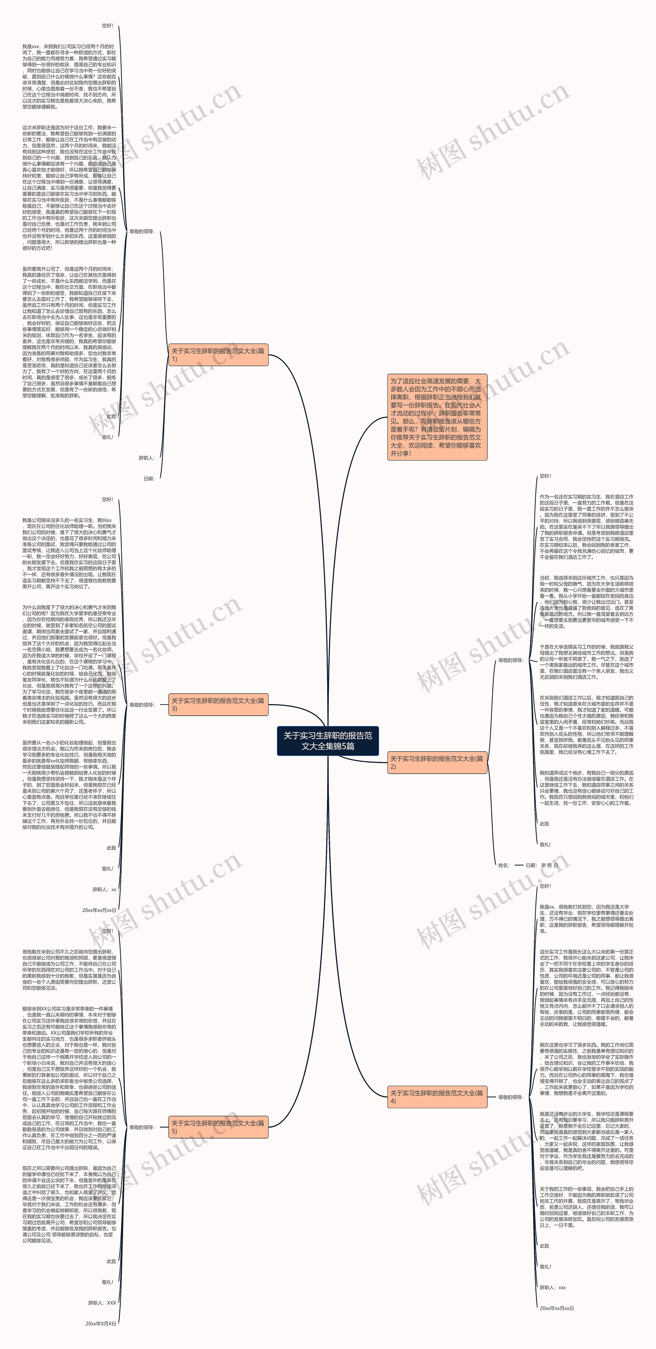 关于实习生辞职的报告范文大全集锦5篇思维导图