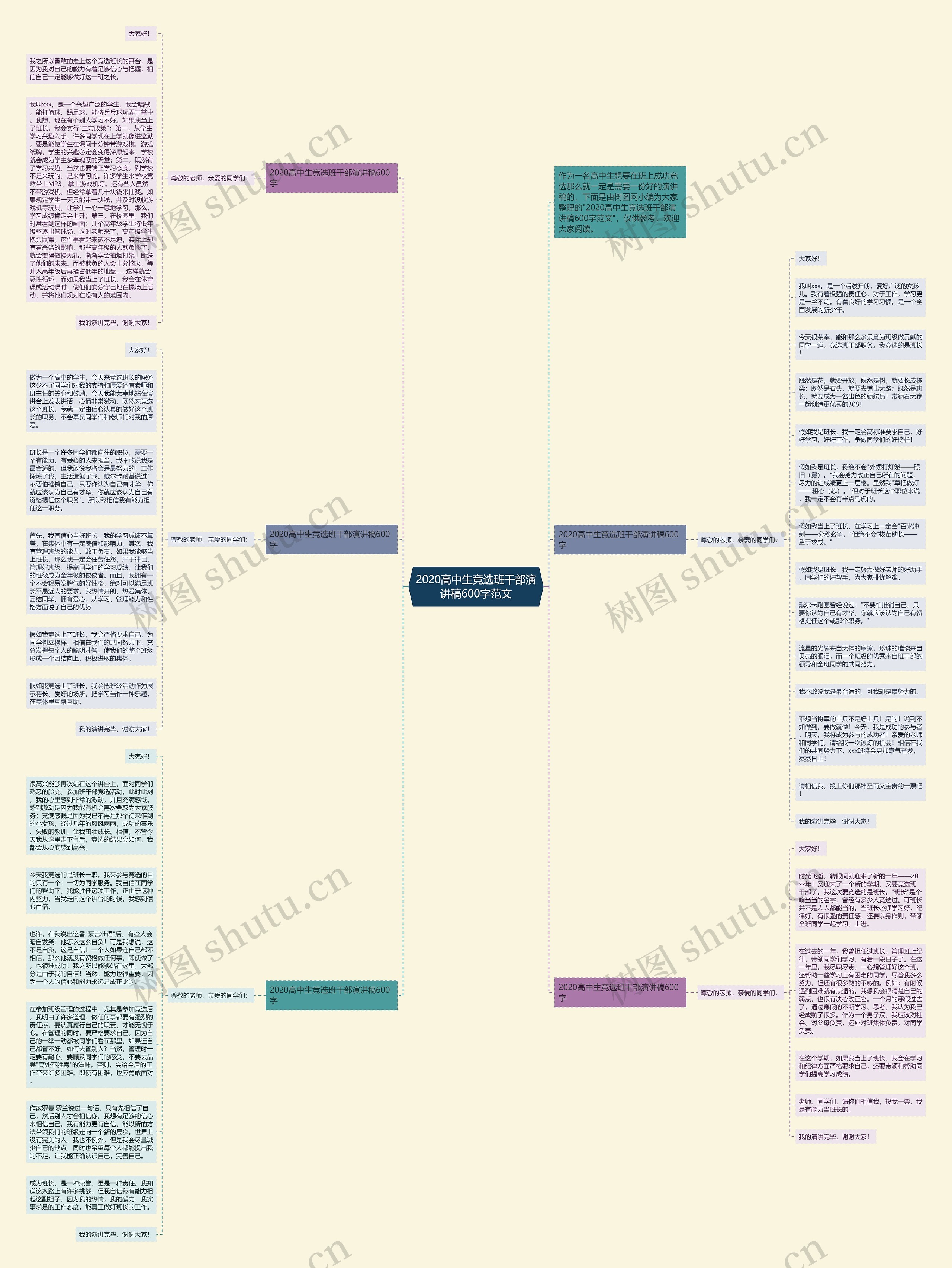 2020高中生竞选班干部演讲稿600字范文思维导图