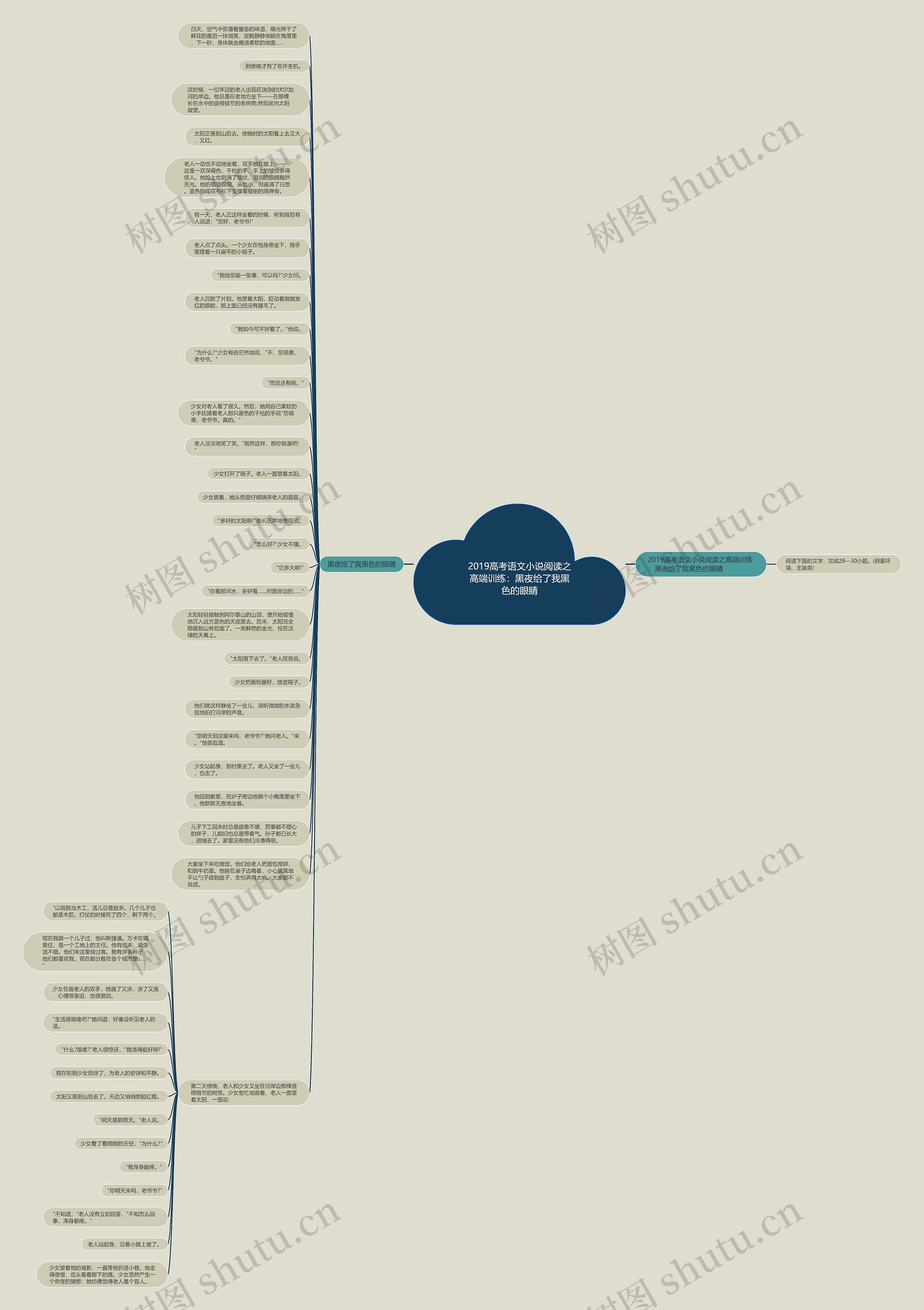 2019高考语文小说阅读之高端训练：黑夜给了我黑色的眼睛思维导图