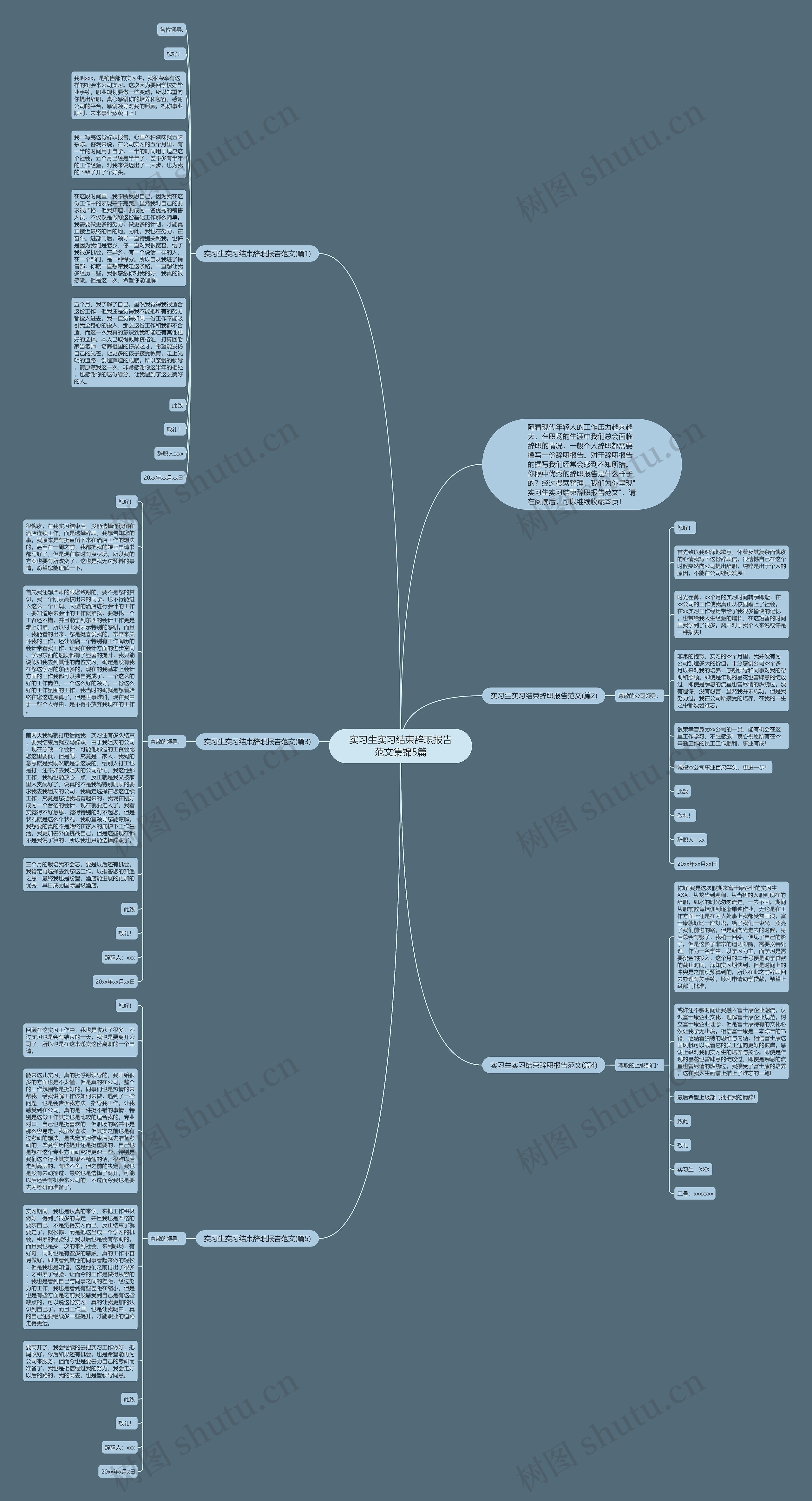实习生实习结束辞职报告范文集锦5篇思维导图