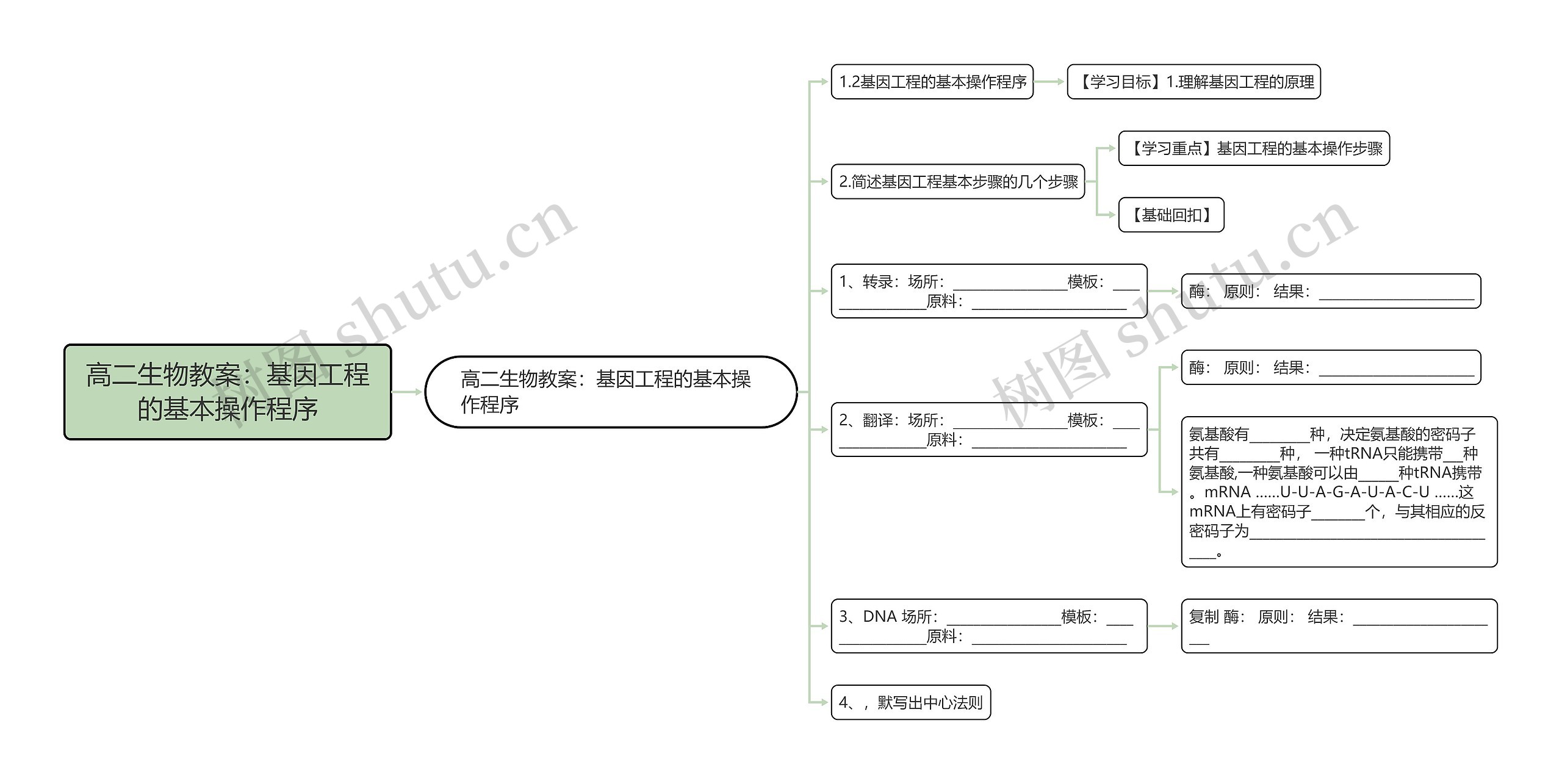 高二生物教案：基因工程的基本操作程序思维导图