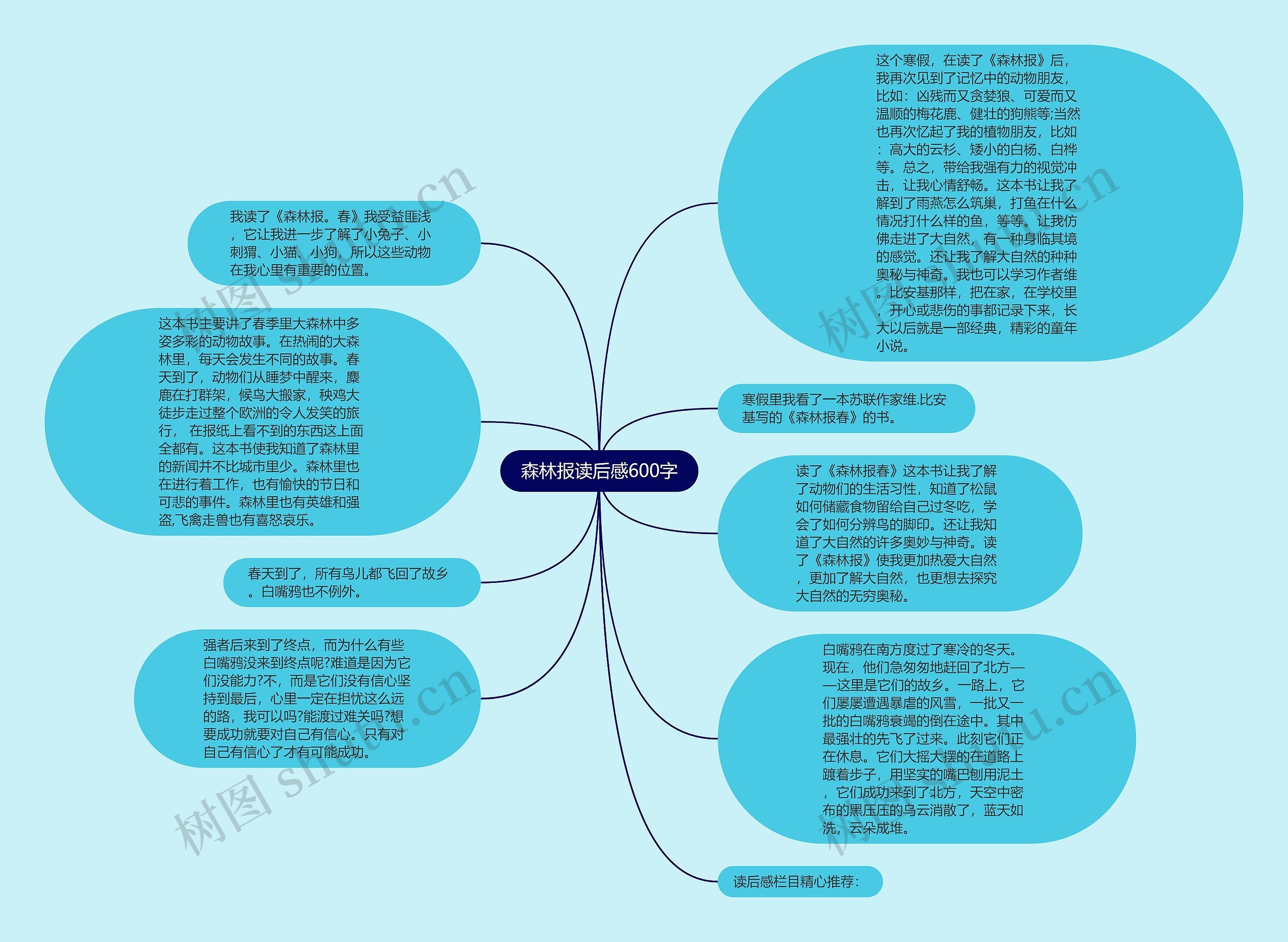 森林报读后感600字