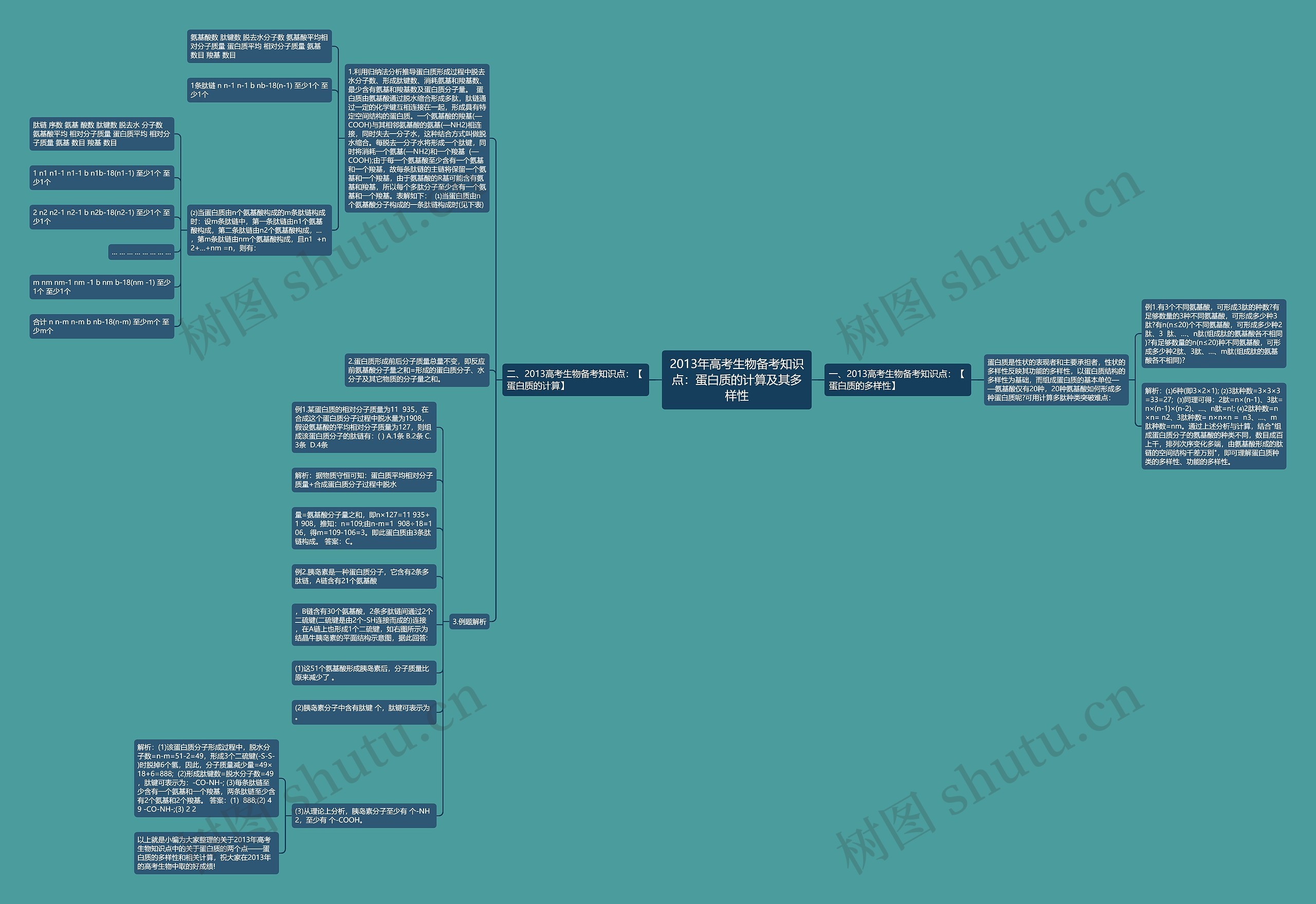 2013年高考生物备考知识点：蛋白质的计算及其多样性思维导图