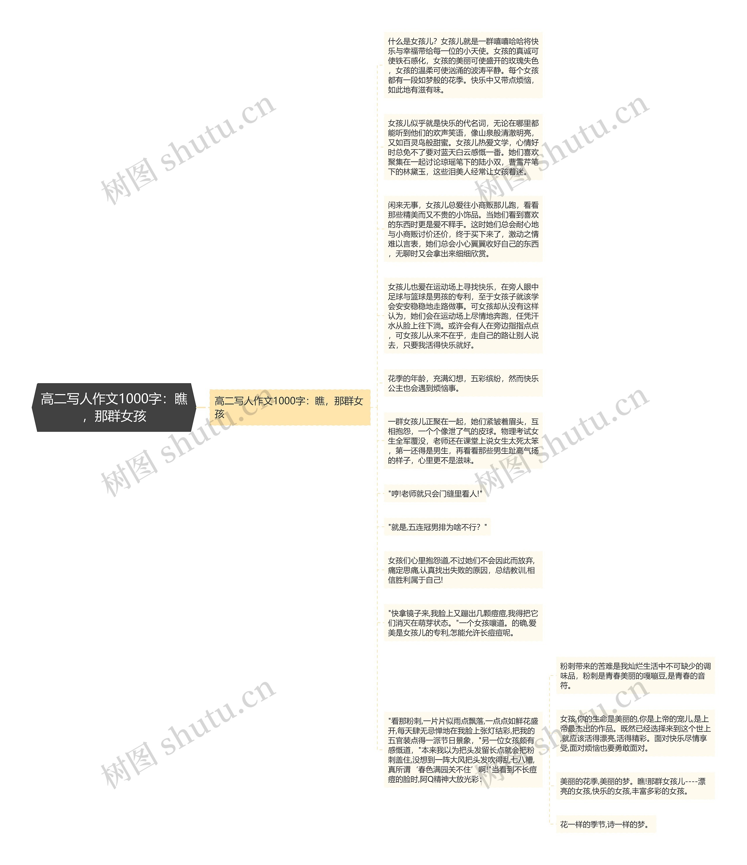 高二写人作文1000字：瞧，那群女孩思维导图