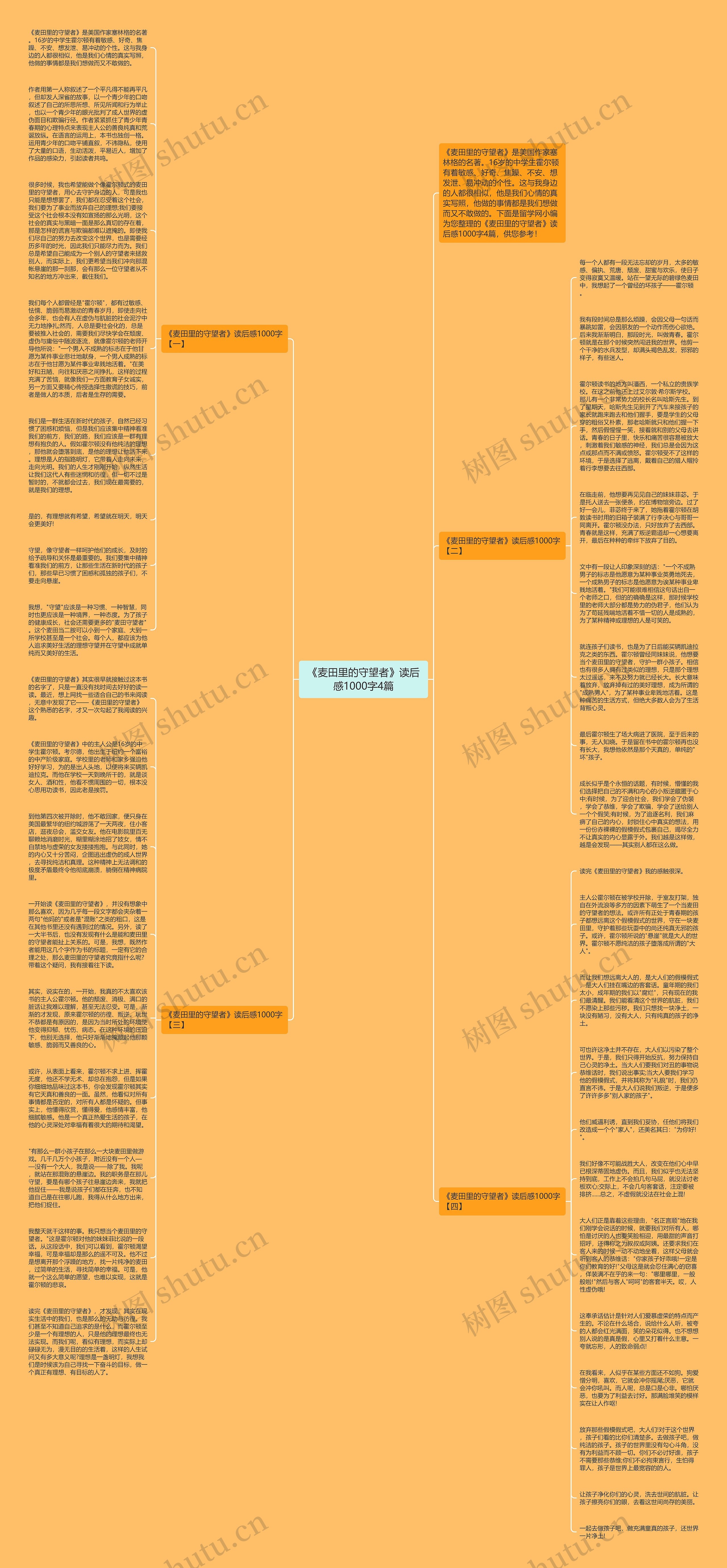 《麦田里的守望者》读后感1000字4篇思维导图