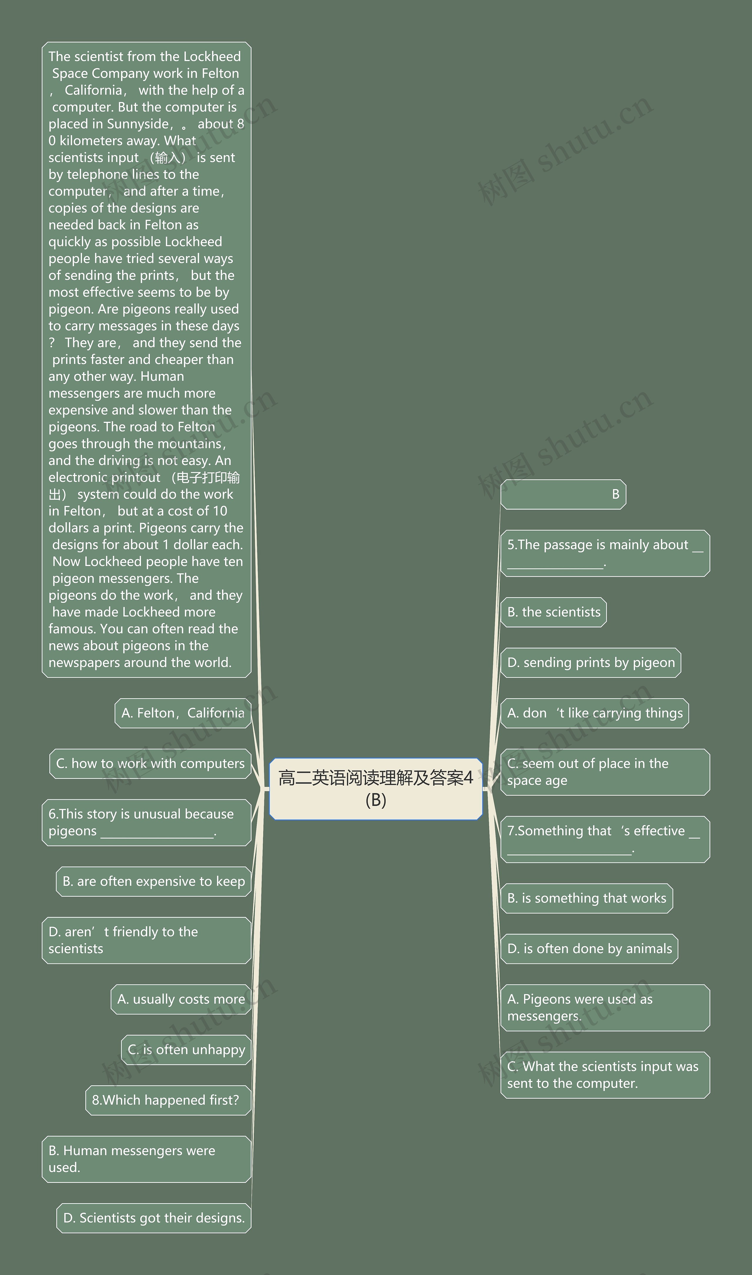 高二英语阅读理解及答案4(B)思维导图