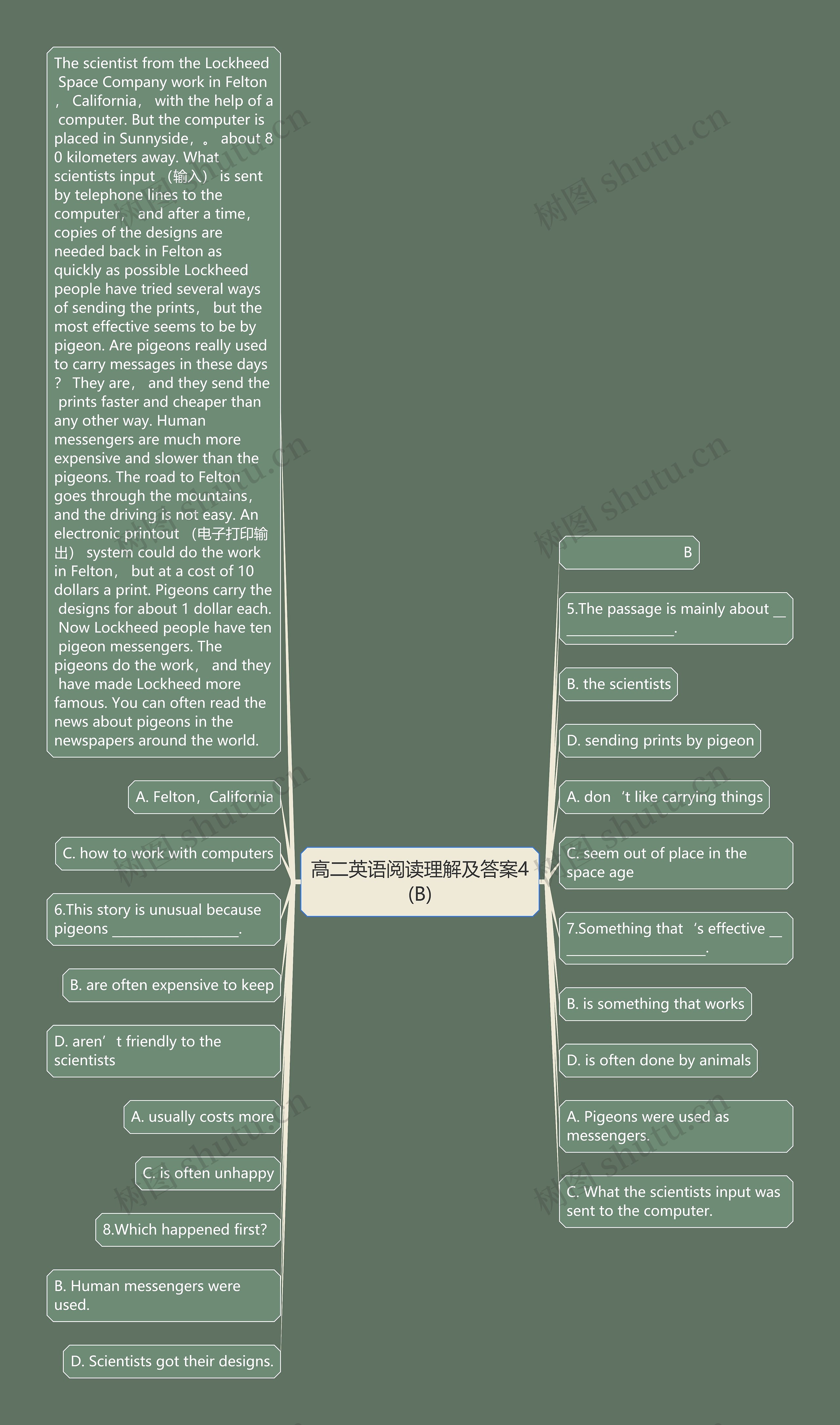 高二英语阅读理解及答案4(B)思维导图高清图 高二英语阅读理解及答案4(B)思维导图