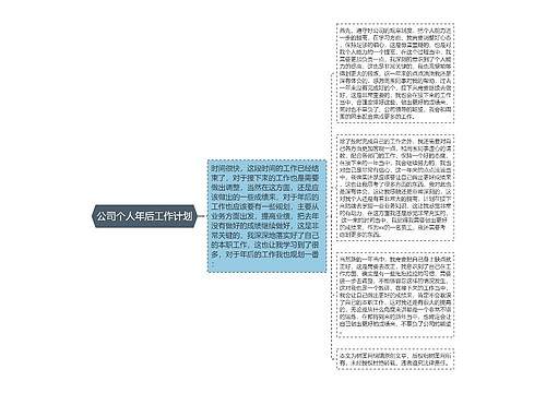 公司个人年后工作计划