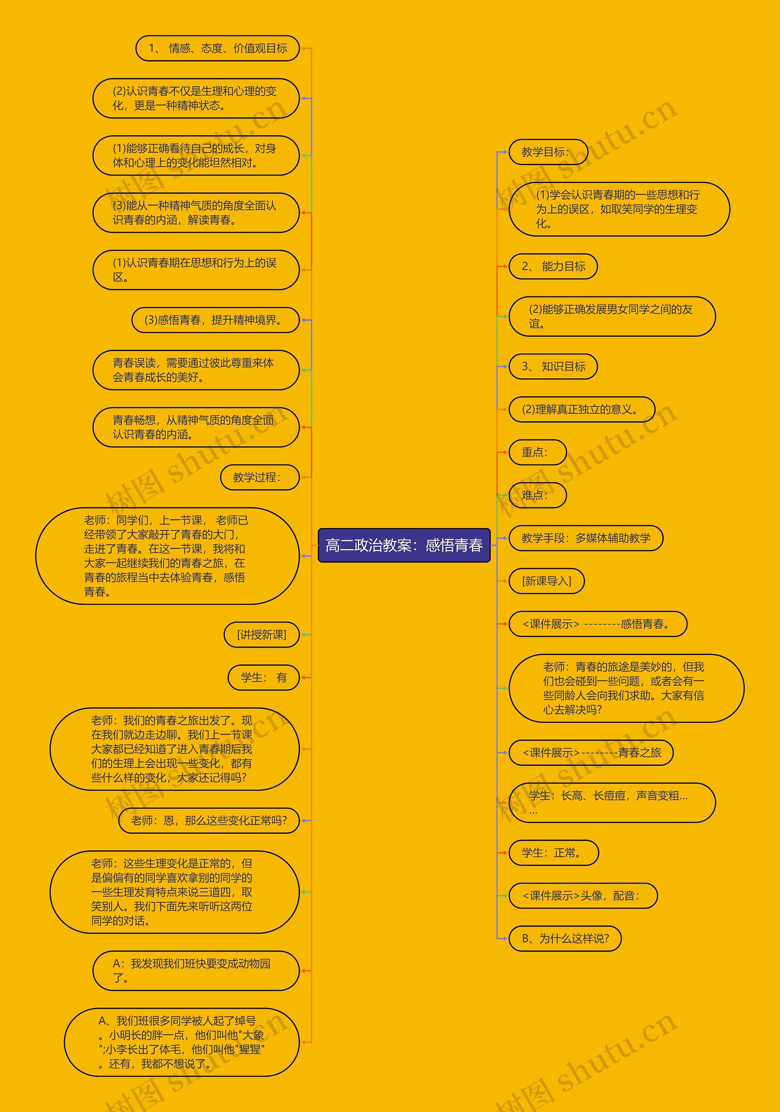 高二政治教案：感悟青春思维导图