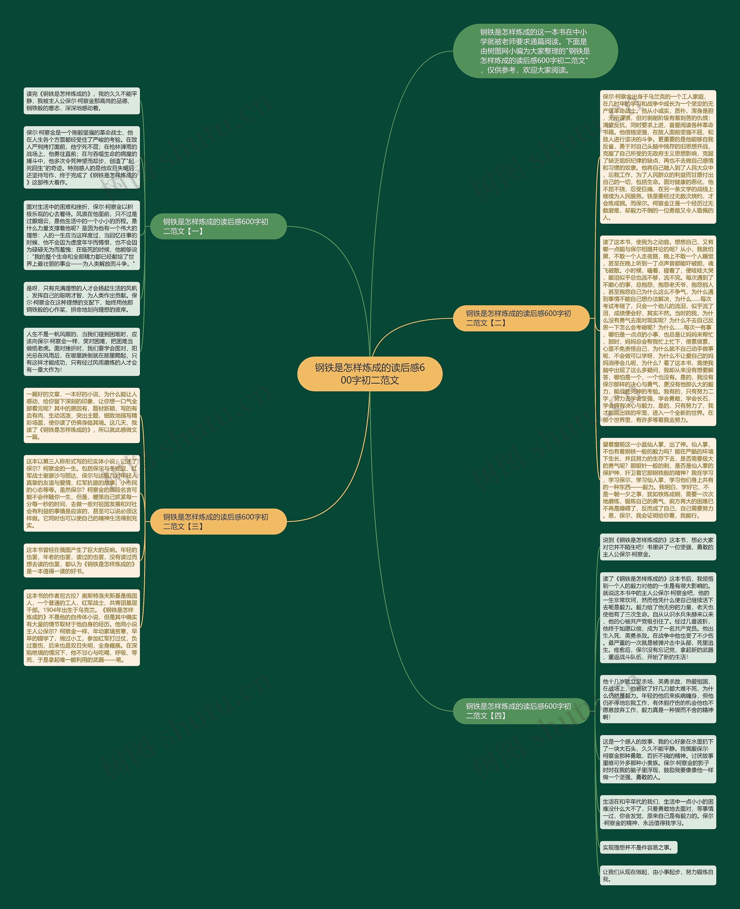 钢铁是怎样炼成的读后感600字初二范文思维导图