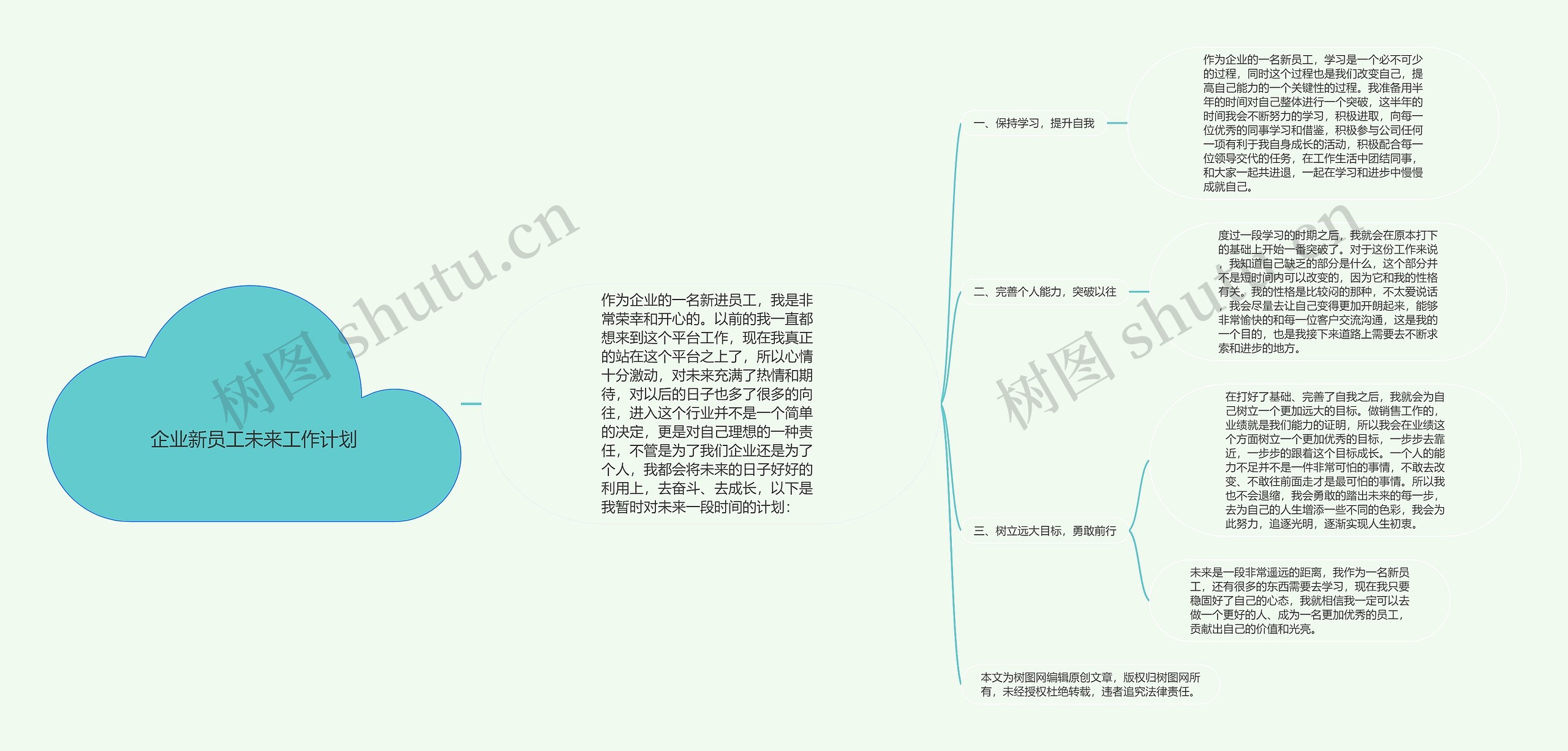 企业新员工未来工作计划