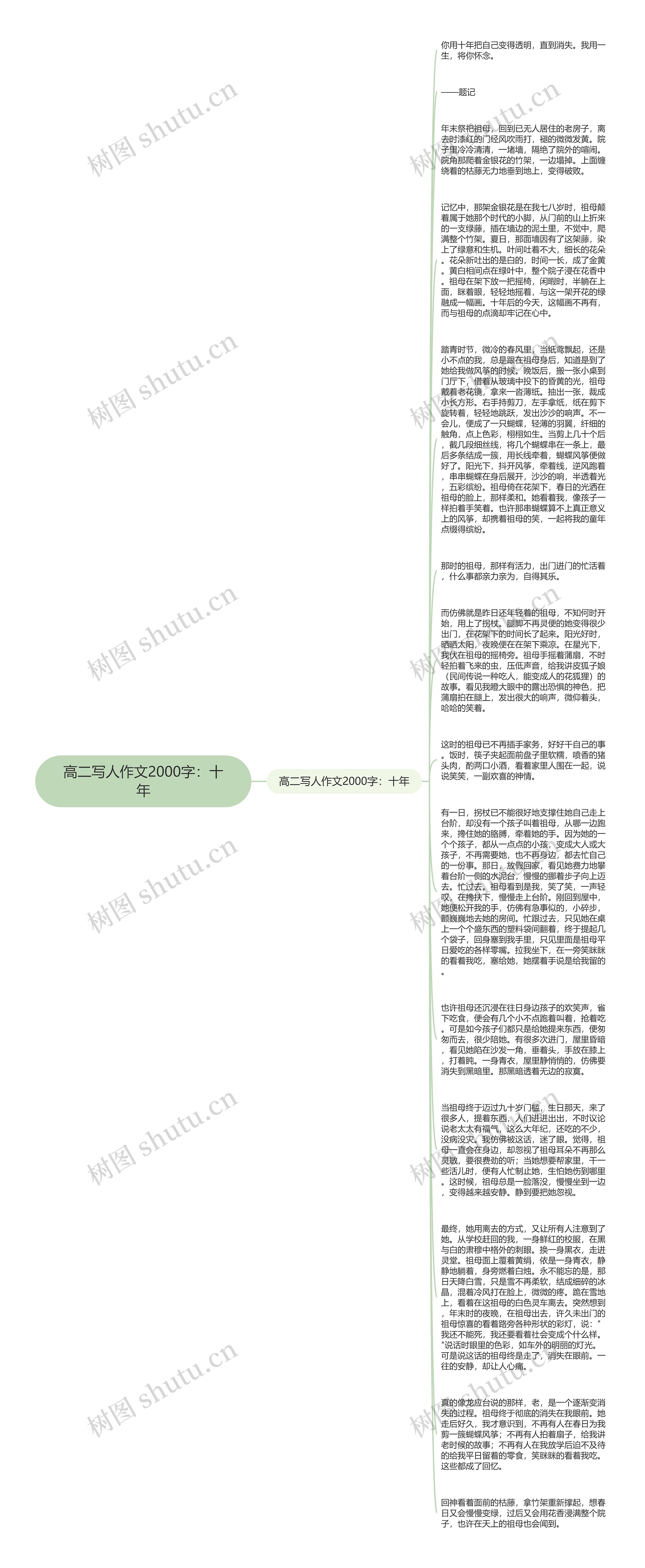 高二写人作文2000字：十年思维导图