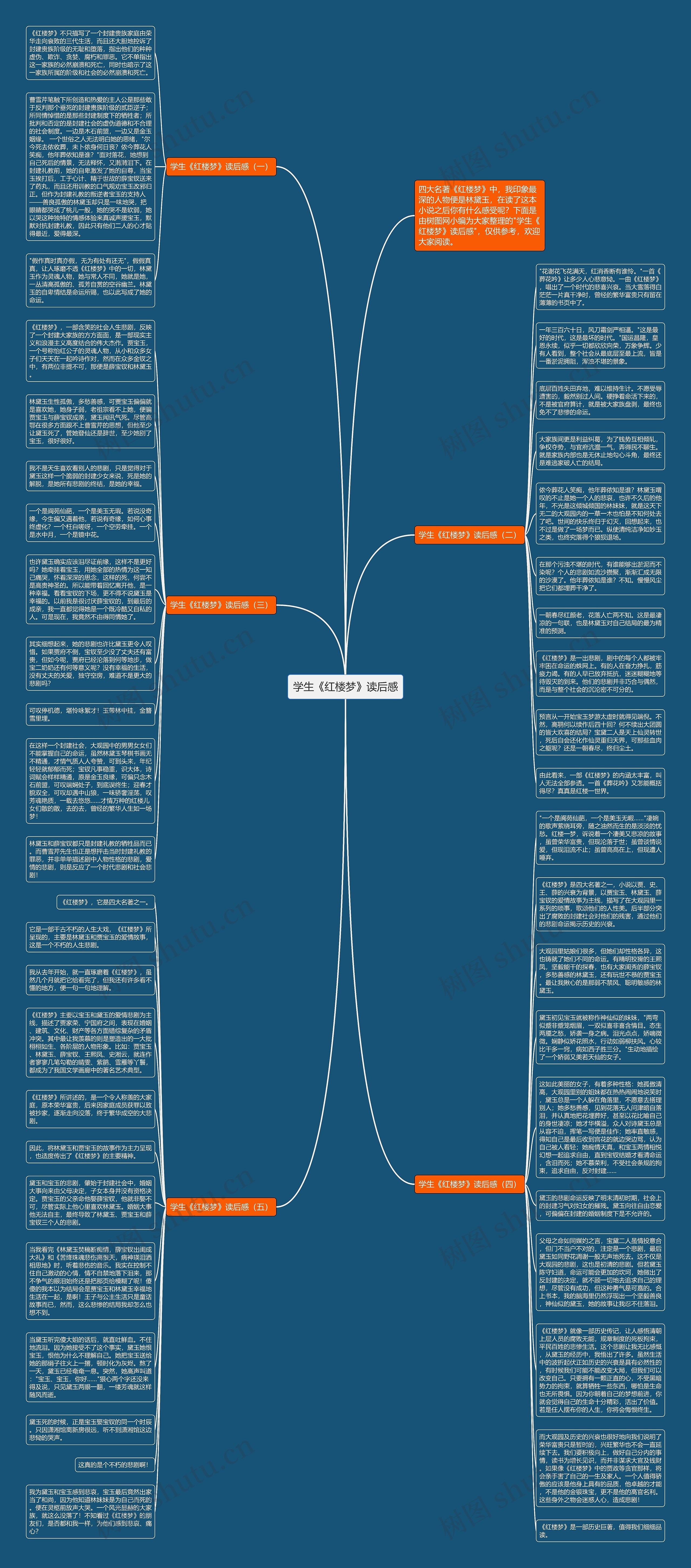 学生《红楼梦》读后感思维导图