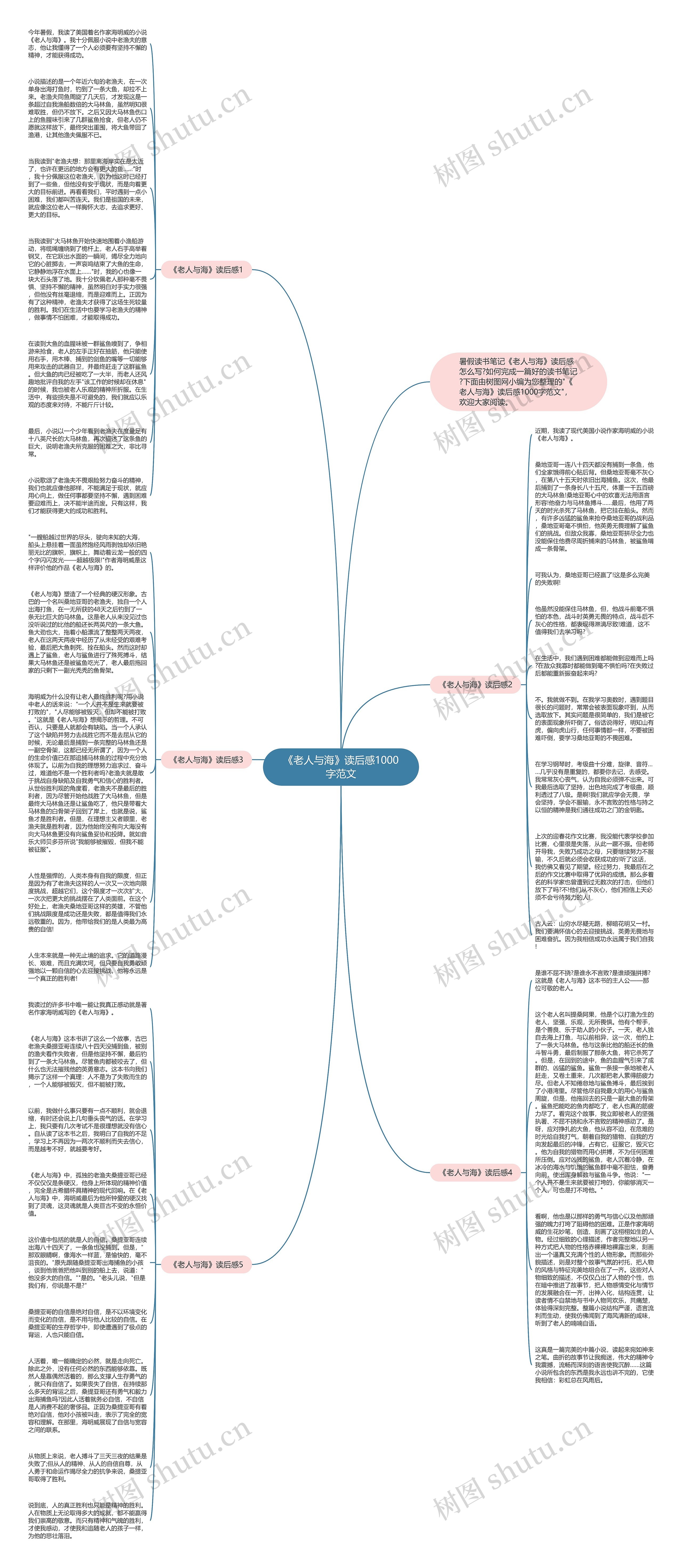 《老人与海》读后感1000字范文思维导图