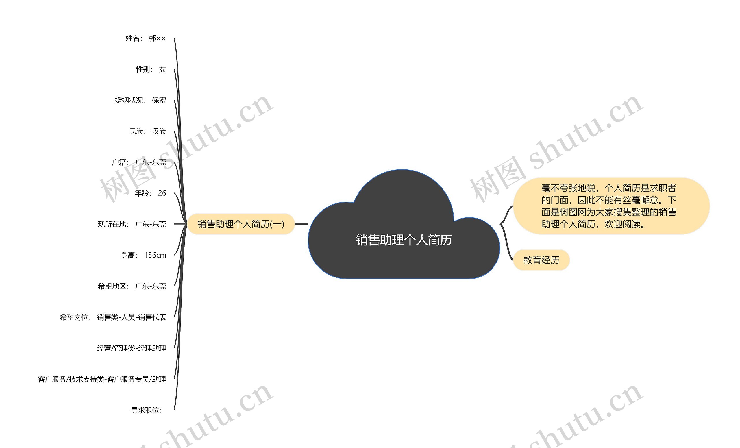 销售助理个人简历思维导图