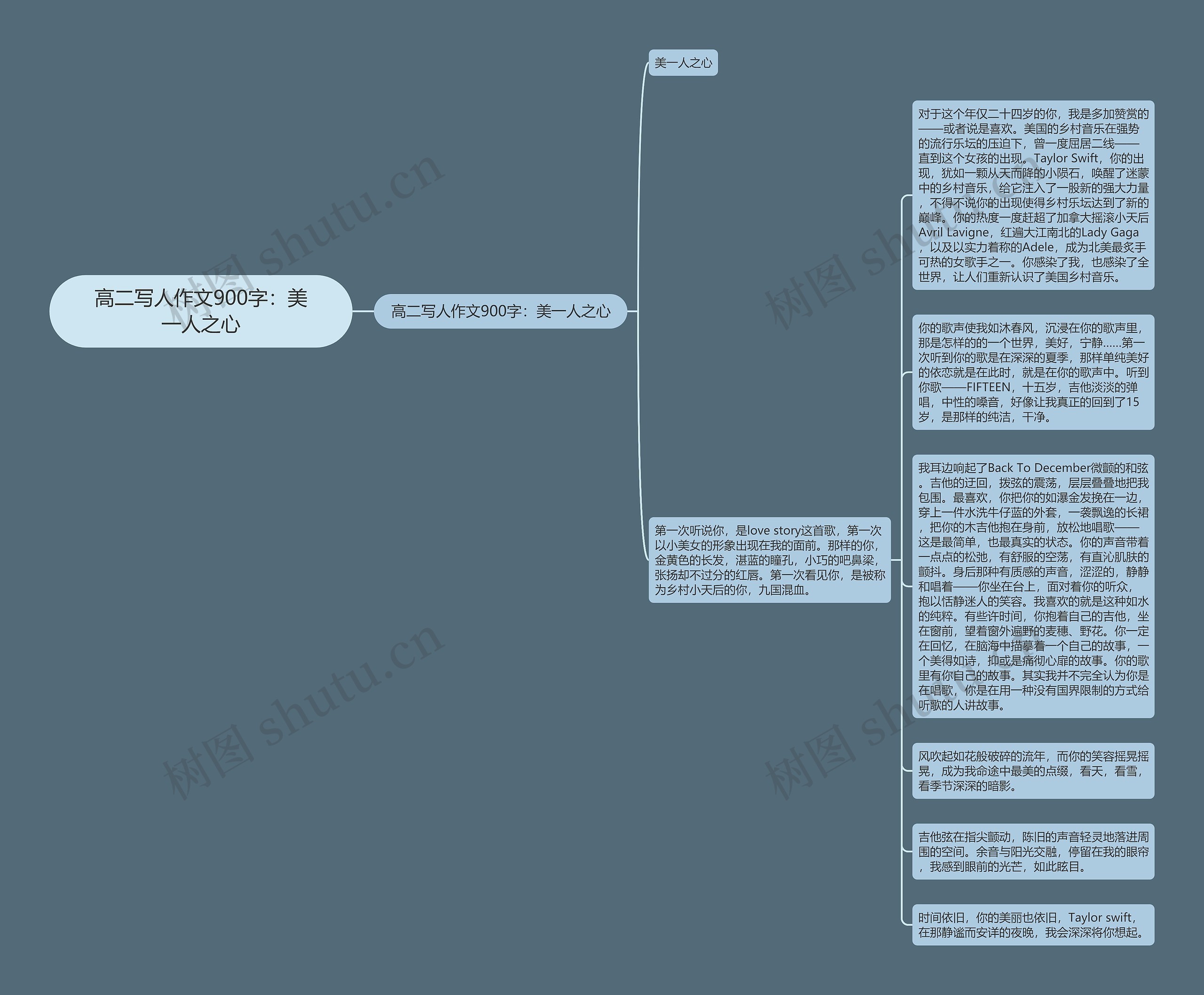 高二写人作文900字：美一人之心思维导图