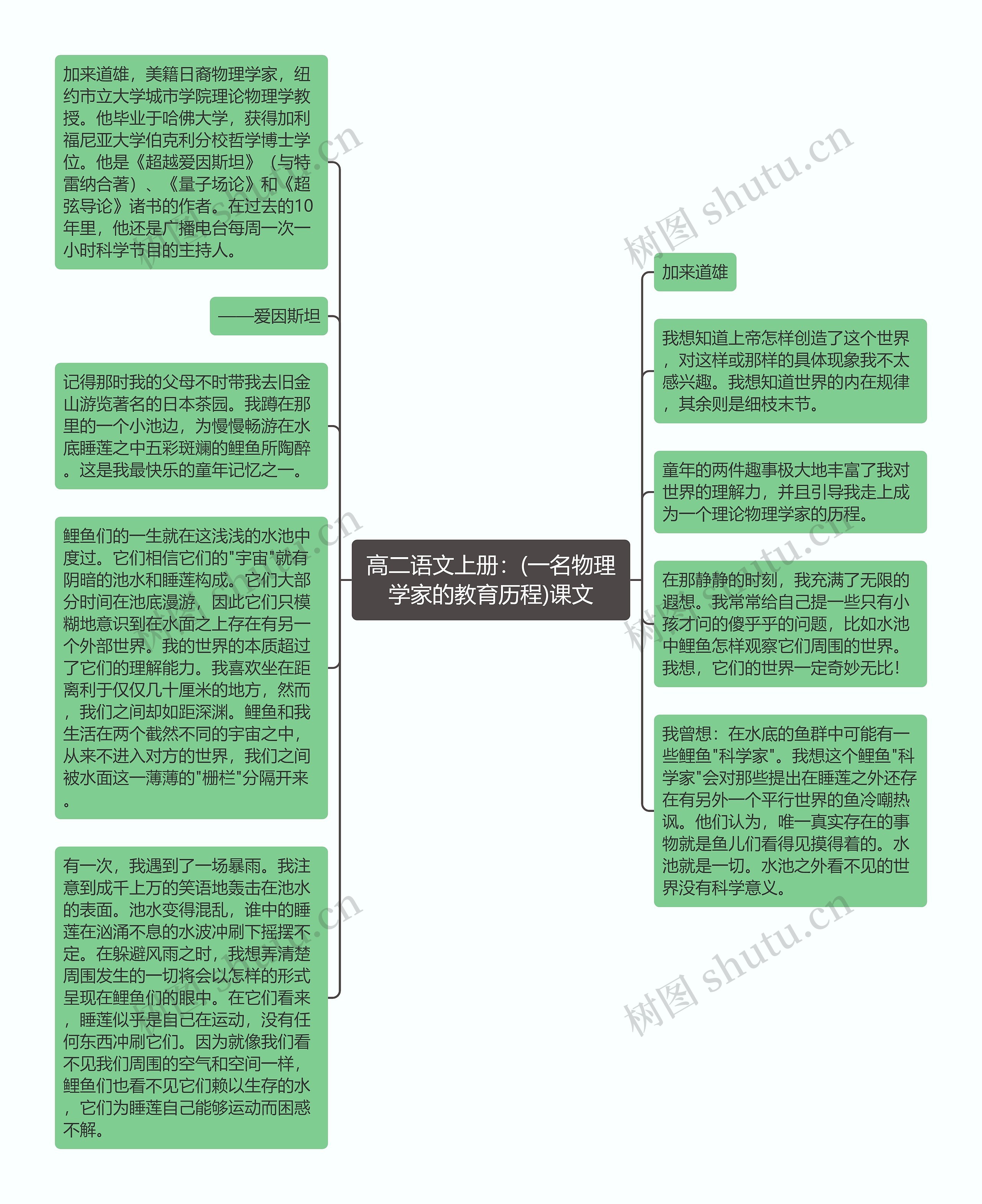 高二语文上册：(一名物理学家的教育历程)课文思维导图