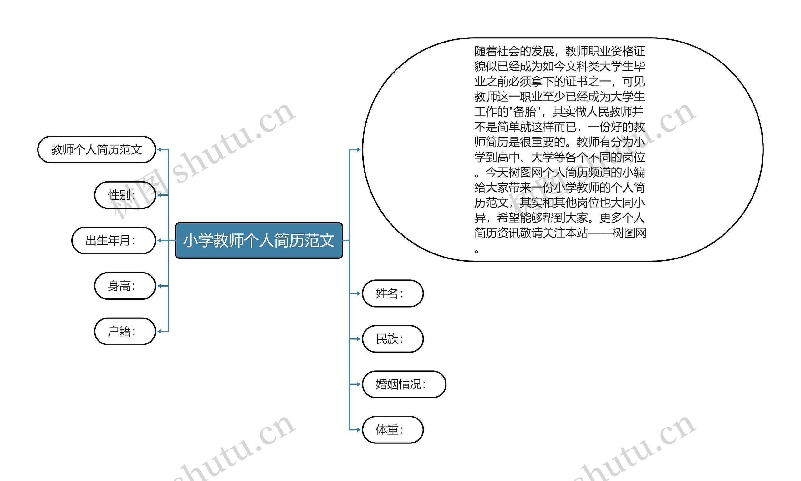 小学教师个人简历范文思维导图