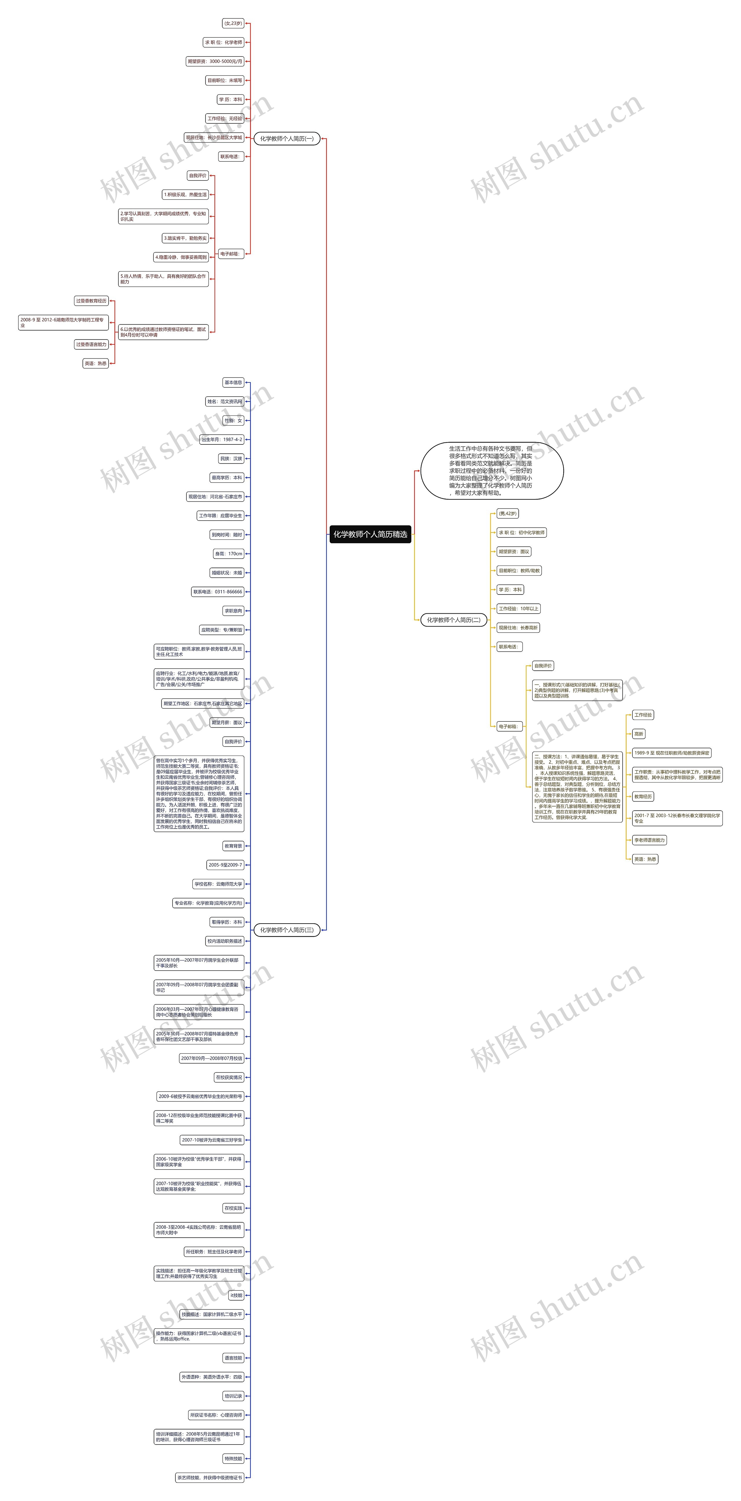 化学教师个人简历精选思维导图
