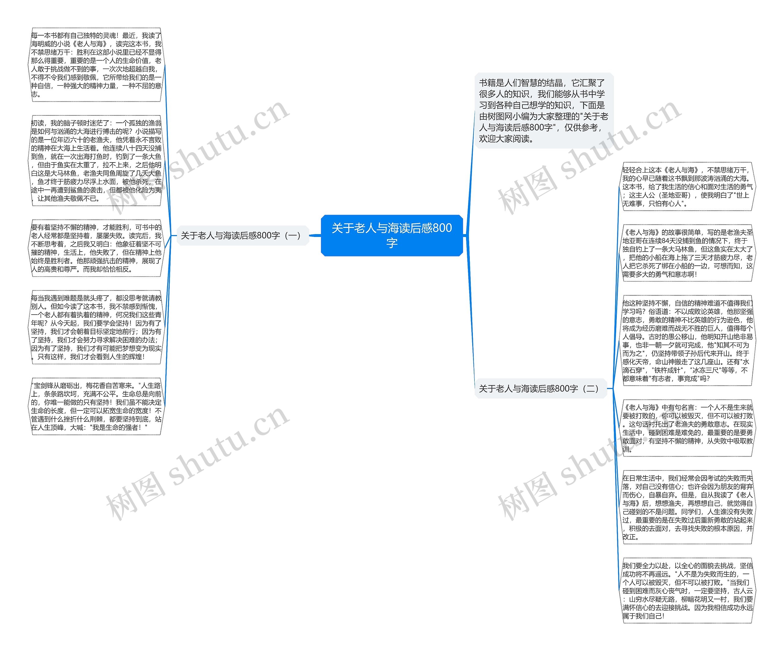 关于老人与海读后感800字思维导图