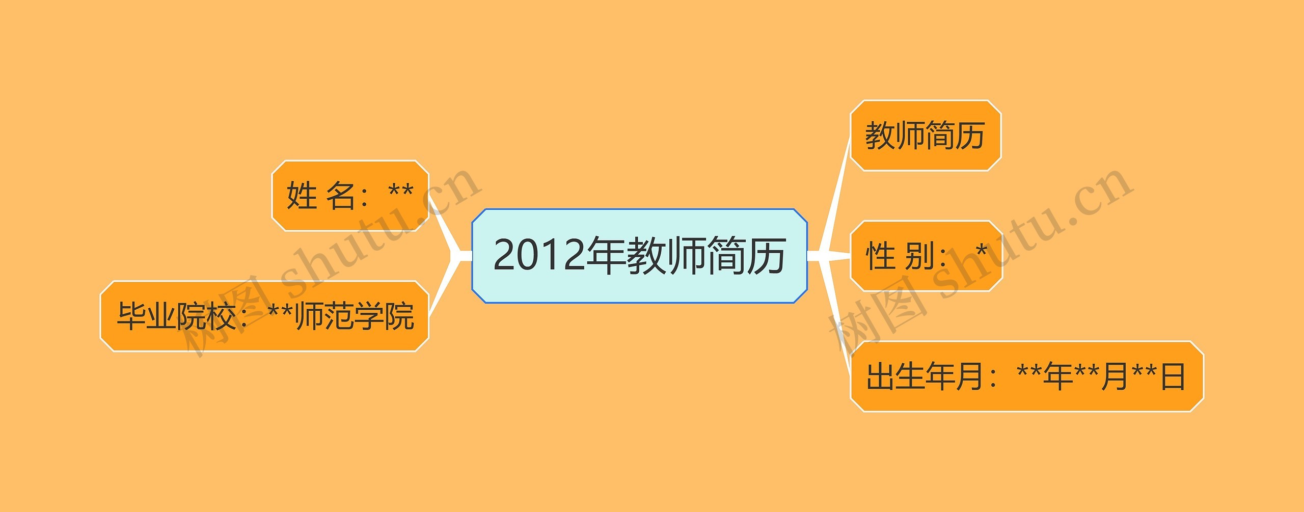 2012年教师简历