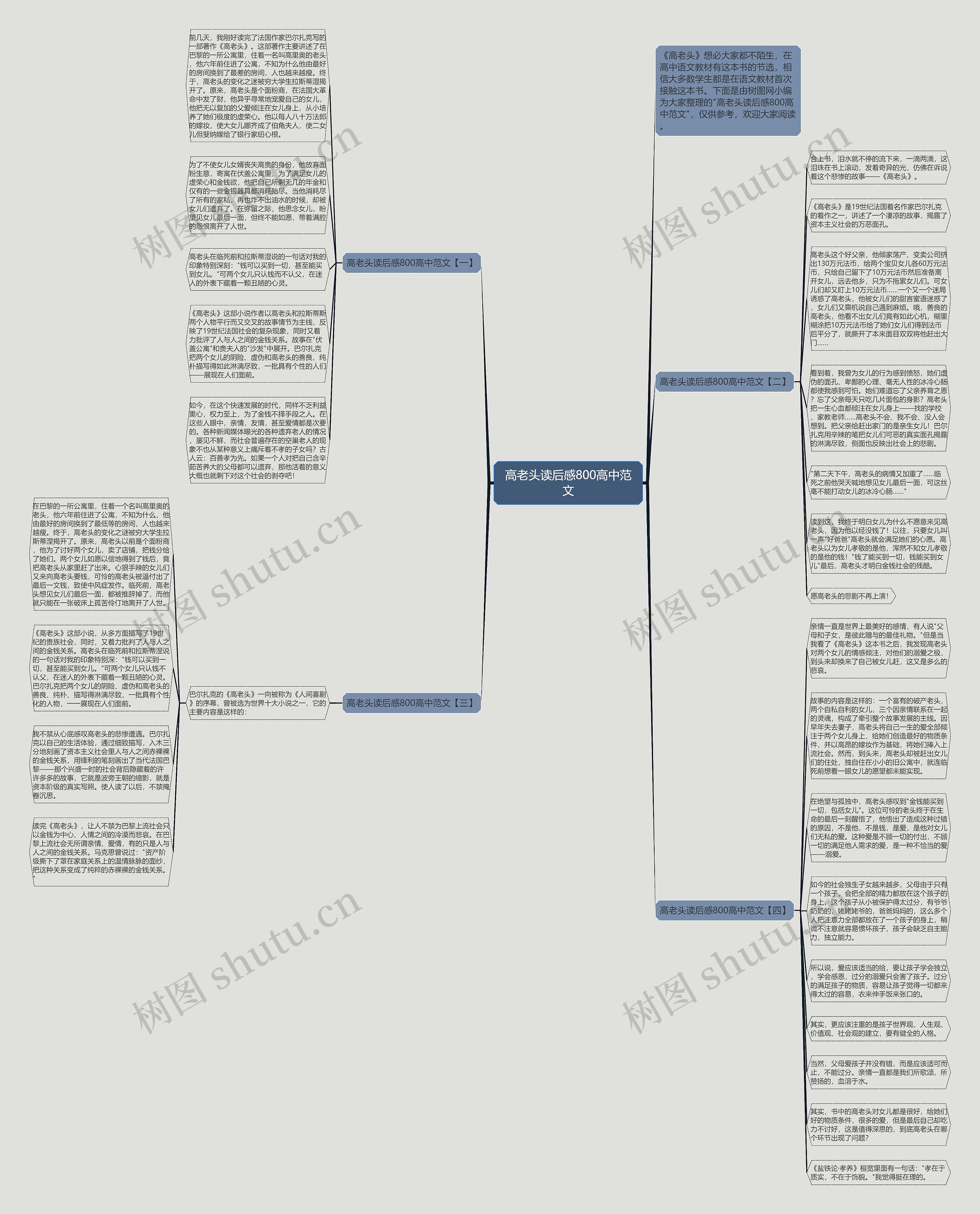高老头读后感800高中范文思维导图