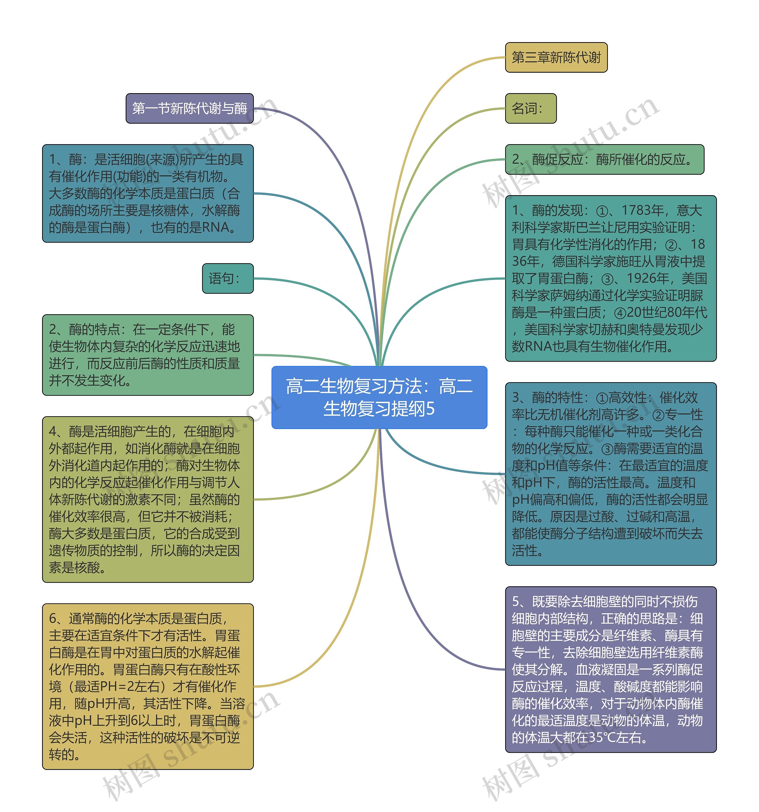 高二生物复习方法：高二生物复习提纲5思维导图