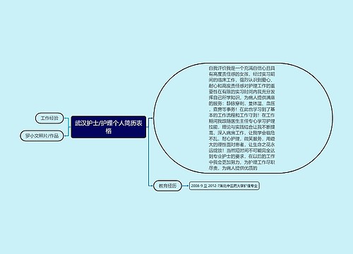 武汉护士/护理个人简历表格