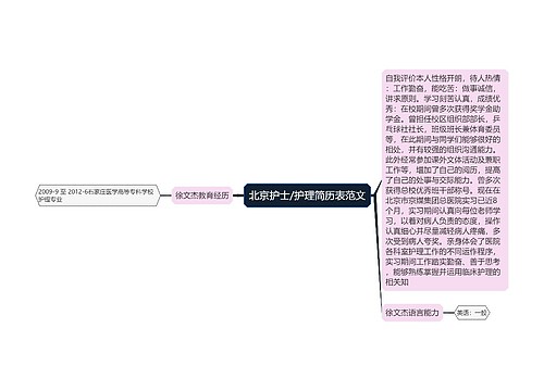 北京护士/护理简历表范文